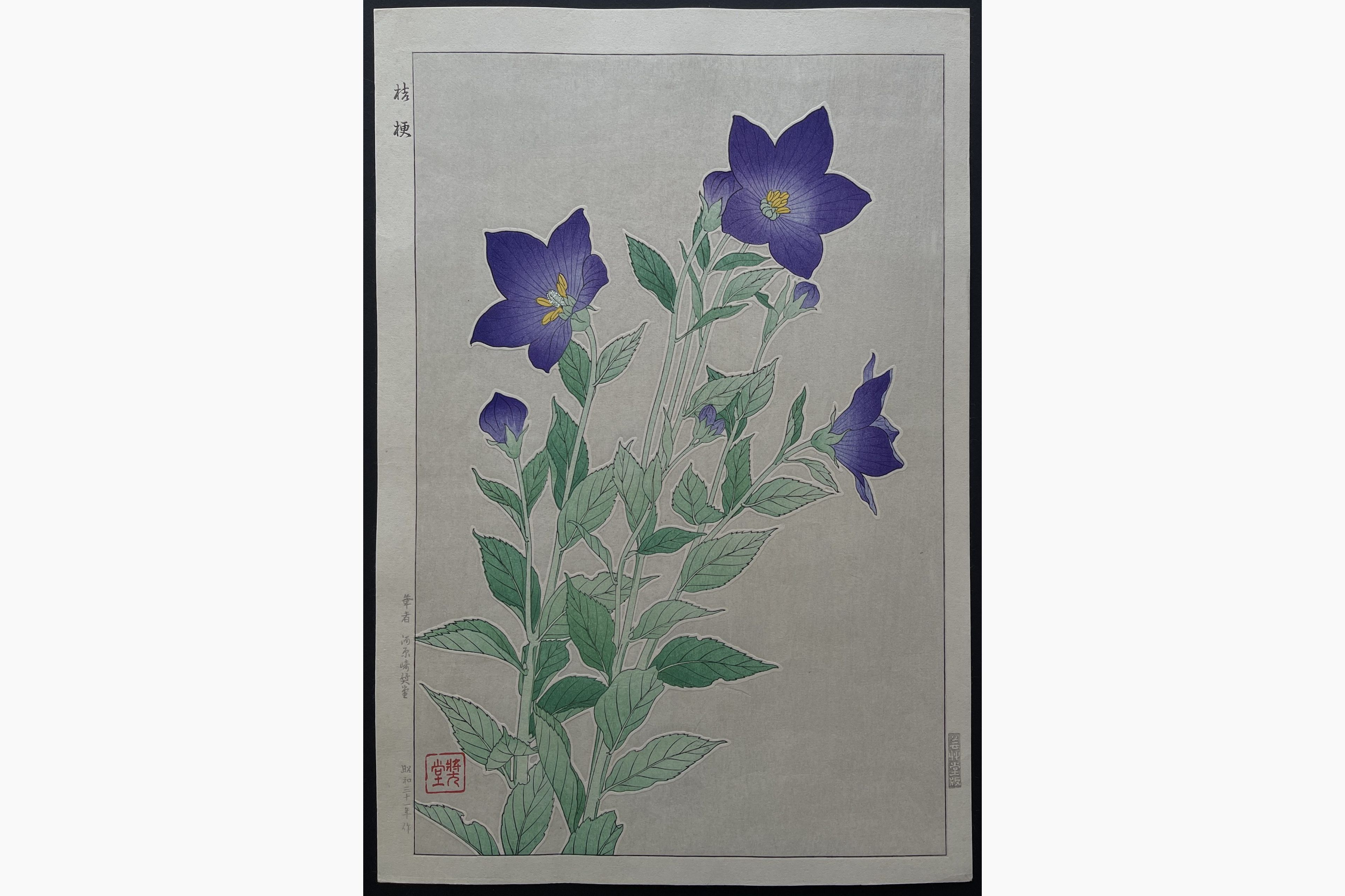 Japanese woodblock print - Kawarazaki Shodo - Bellflower