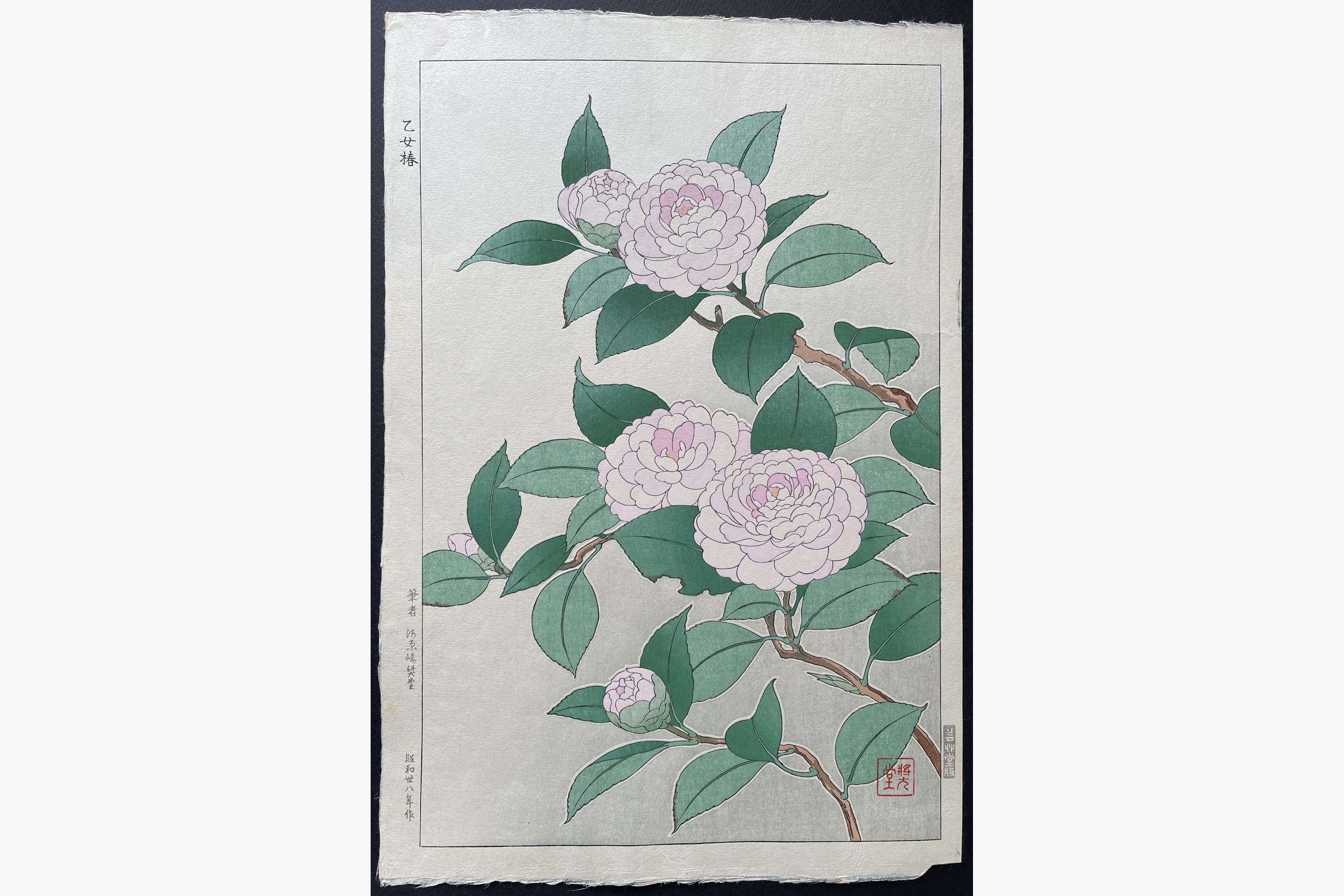 Japanese woodblock print - Kawarazaki Shodo - Camelia