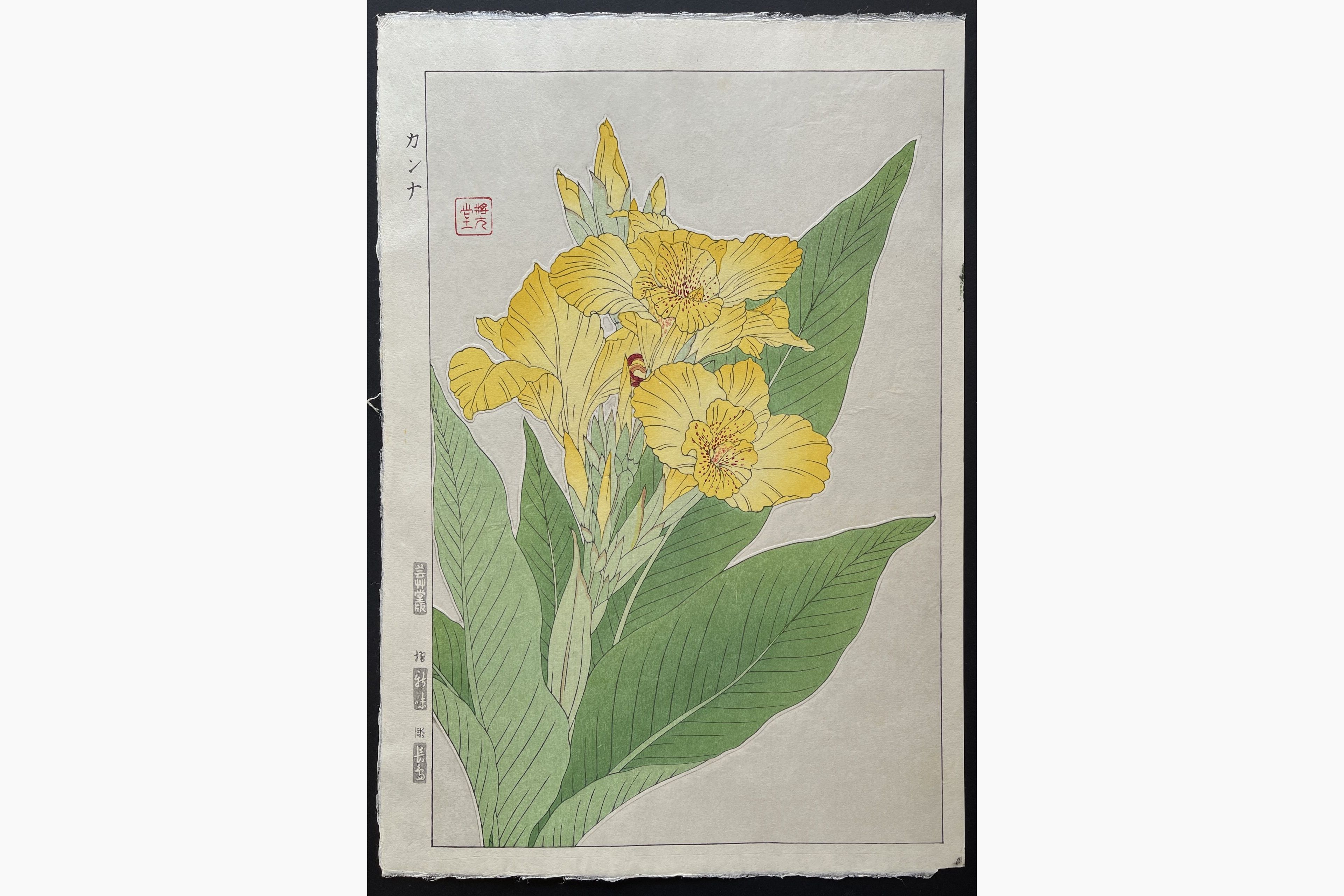 Japanese woodblock print - Kawarazaki Shodo - Canna