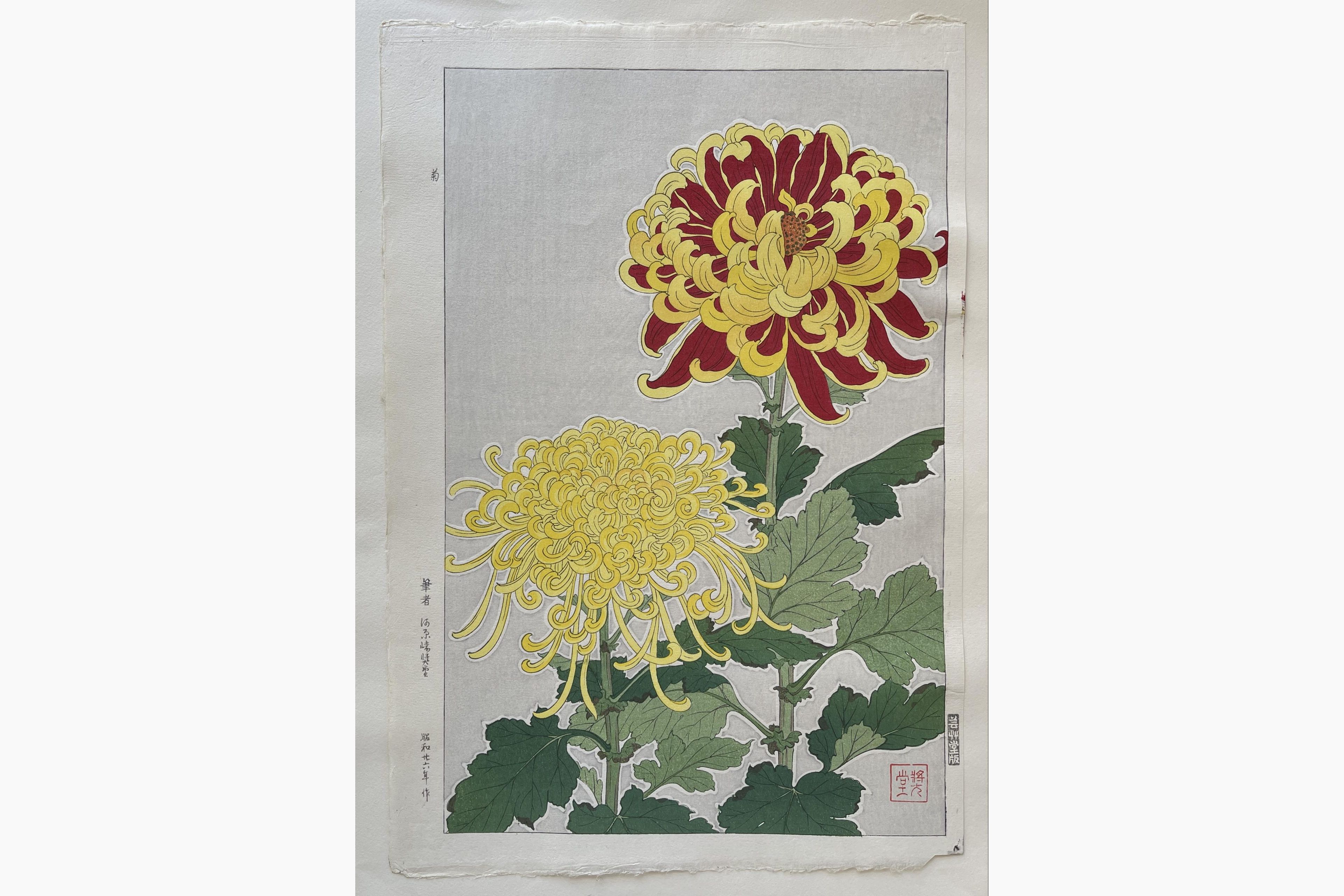 Japanese woodblock print - Kawarazaki Shodo - Chrysanthemum