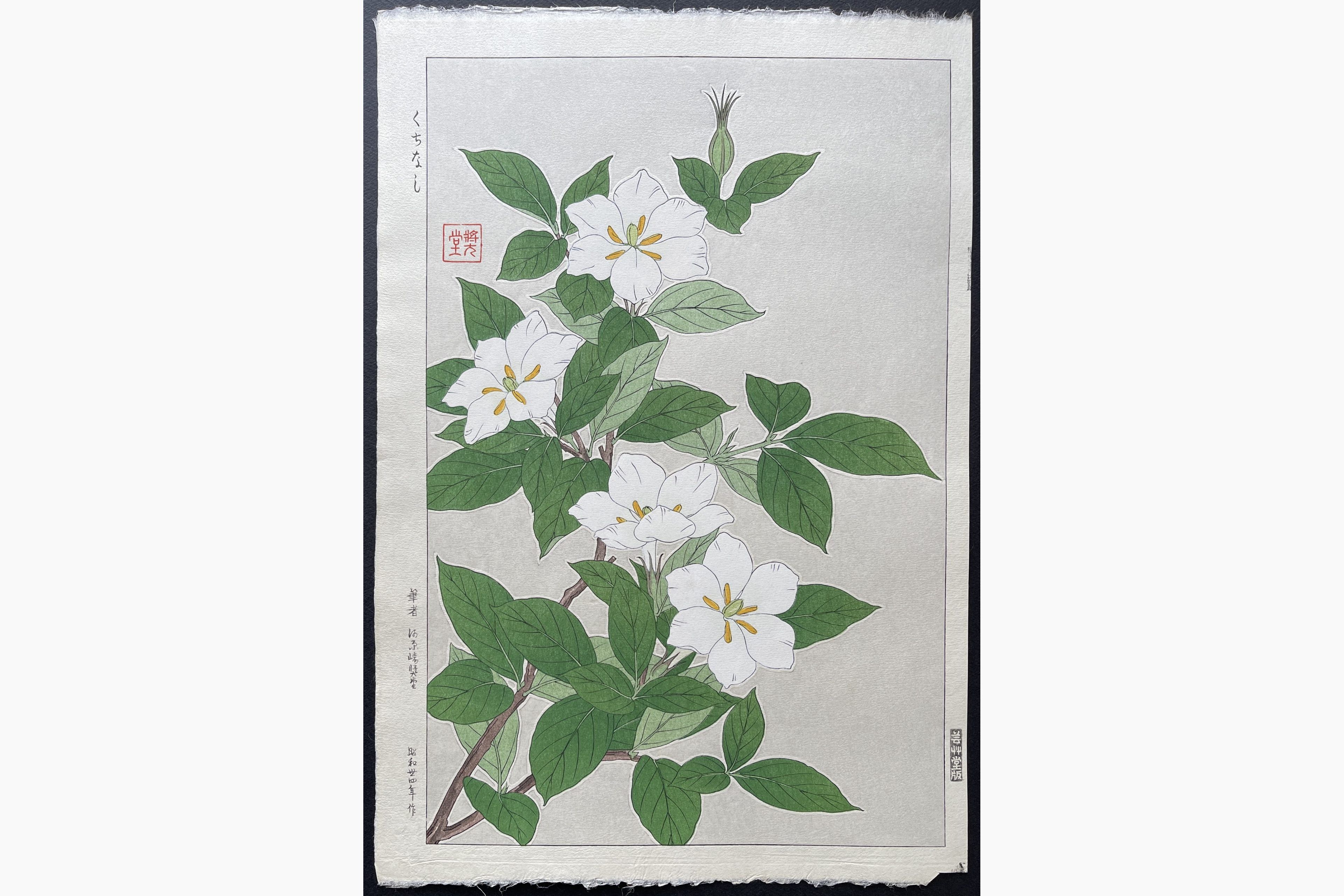 Japanese woodblock print - Kawarazaki Shodo - Gardenia