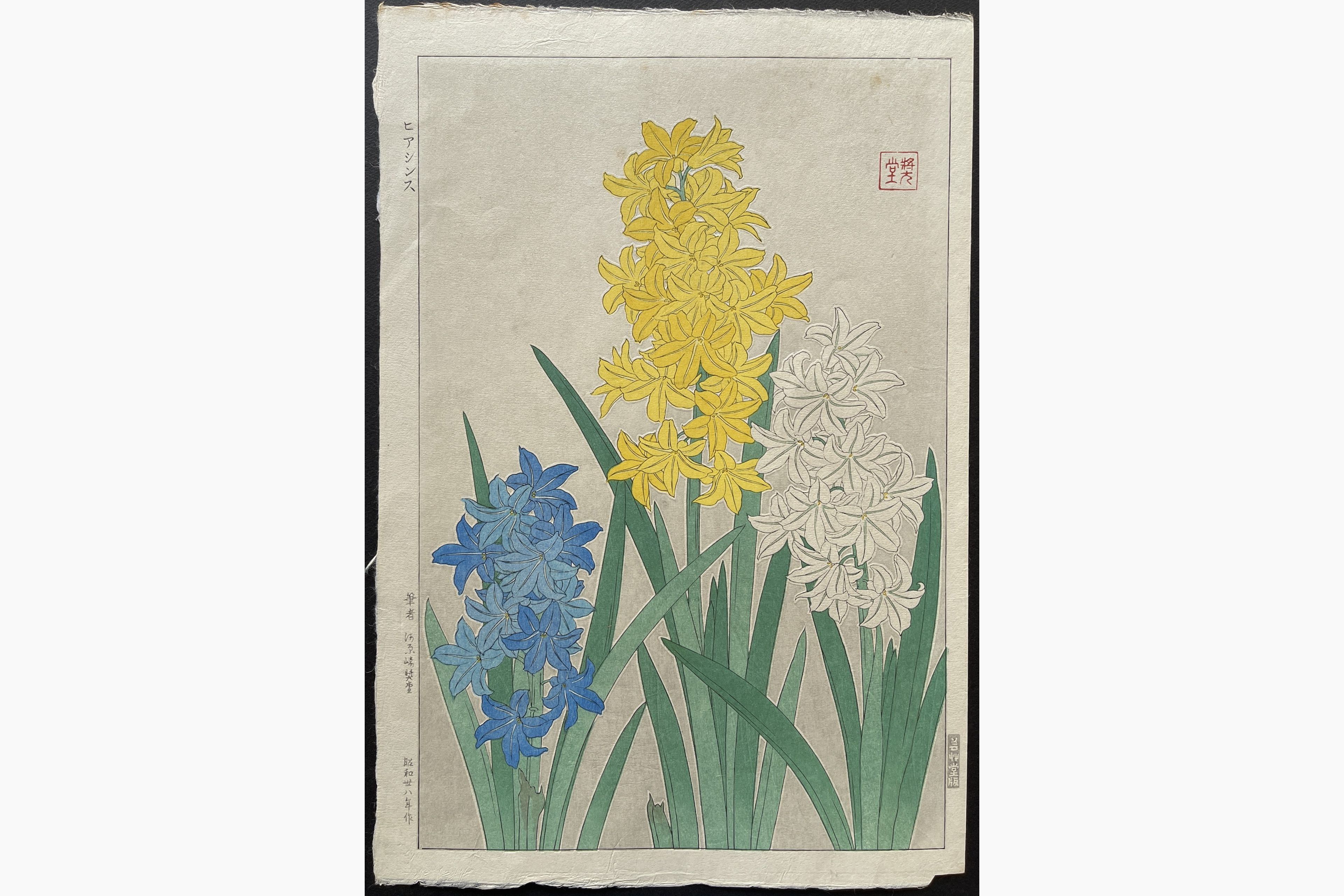 Japanese woodblock print - Kawarazaki Shodo - Hyacinth