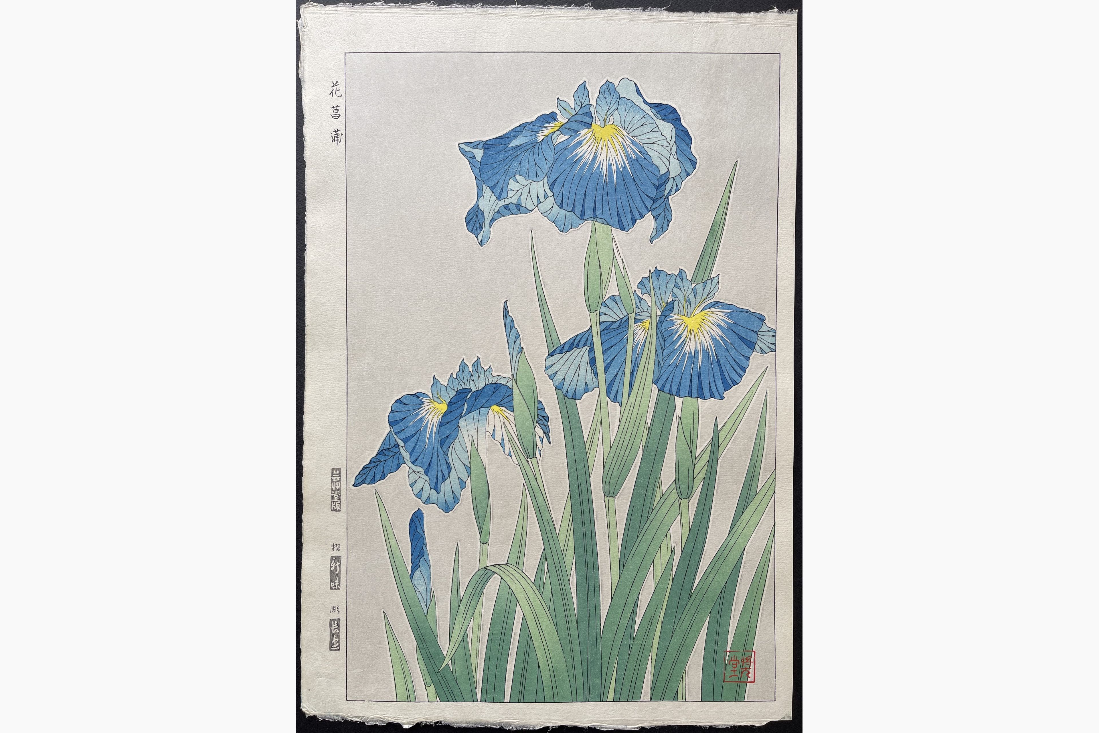 Japanese woodblock print - Kawarazaki Shodo - Iris