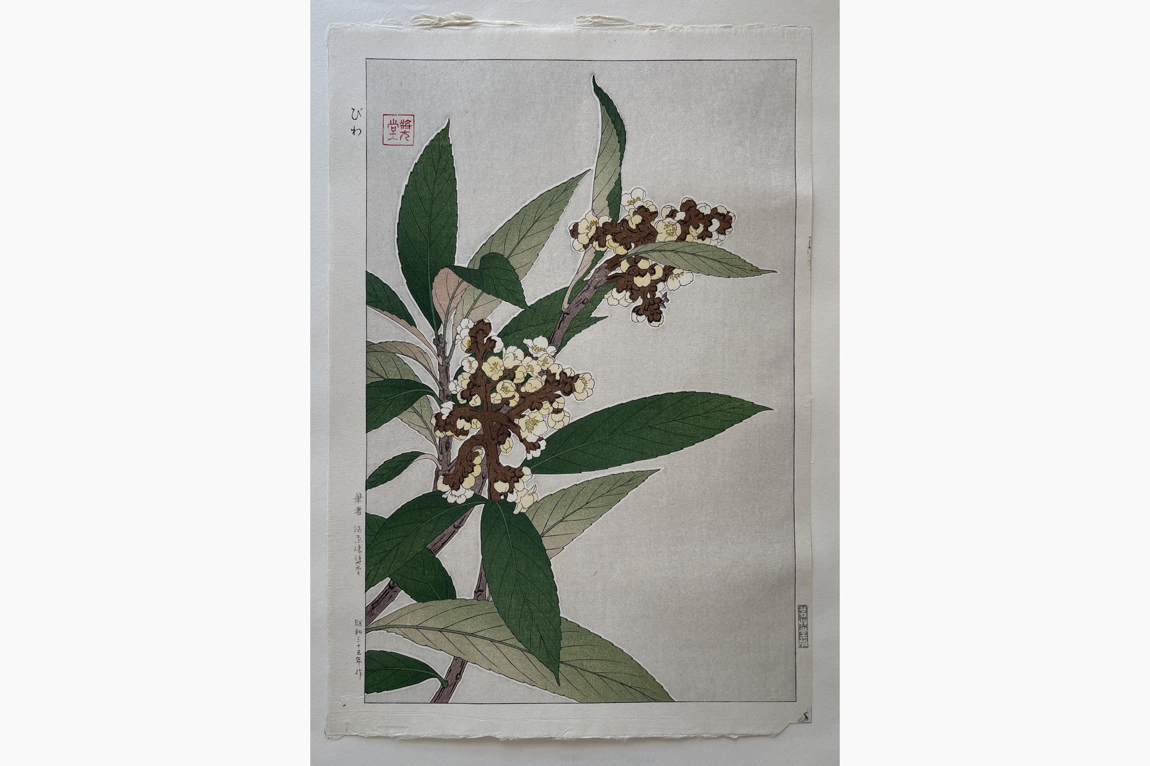 Japanese woodblock print - Kawarazaki Shodo - Loquat