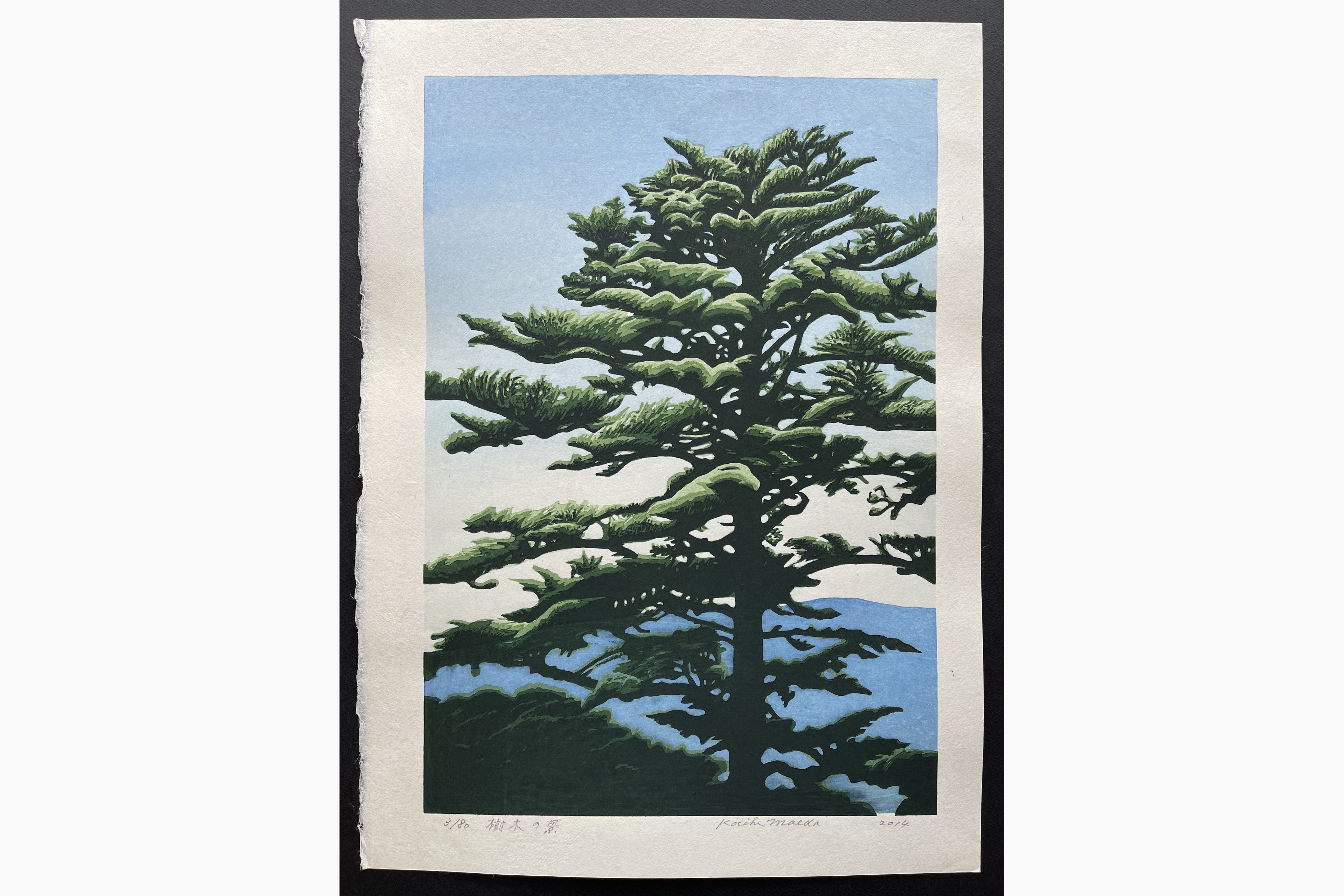Japanese woodblock print - Koichi Maeda - Jumoku no Kei