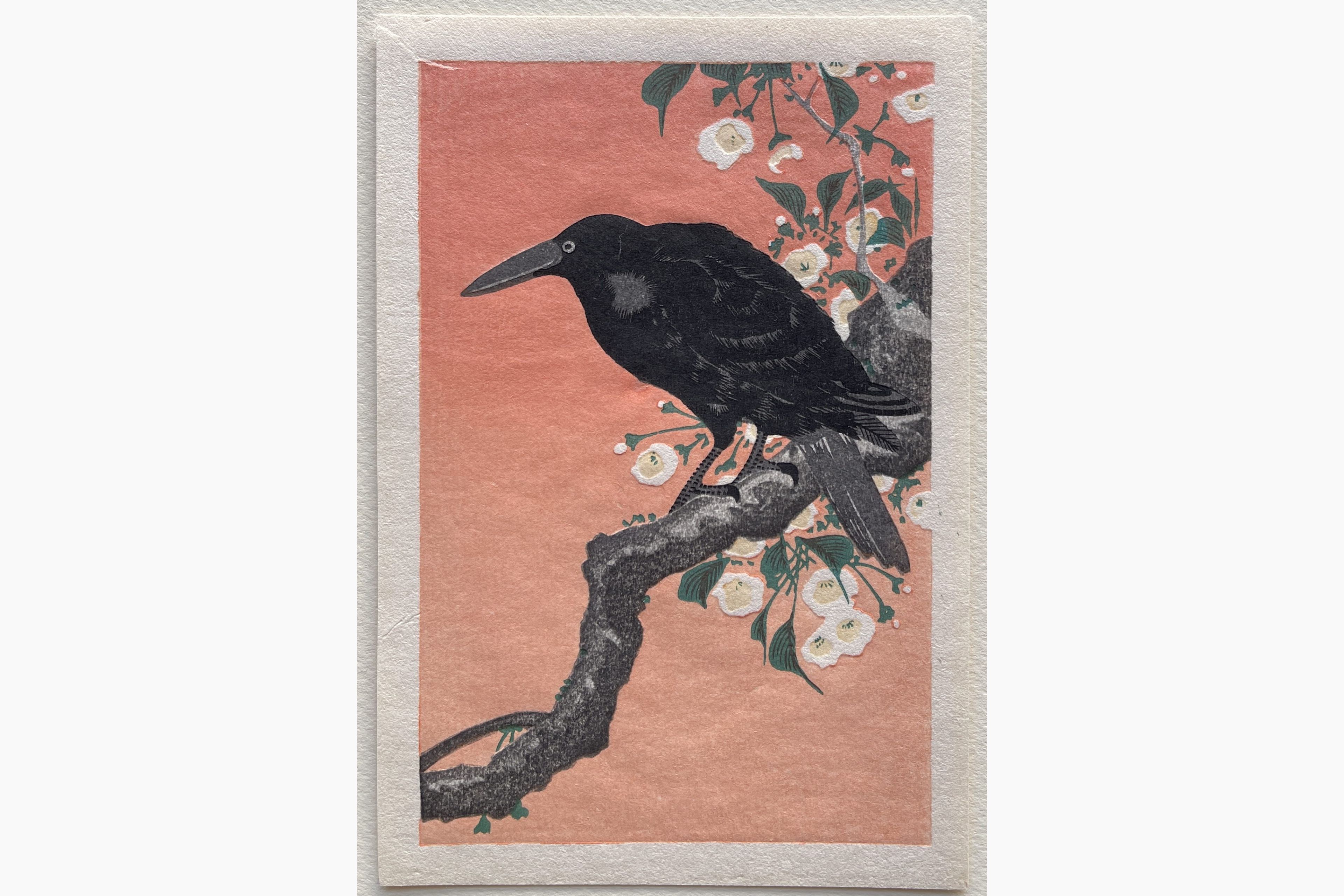 Japanese woodblock print - Ohara Koson - Crow on Cherry Branch