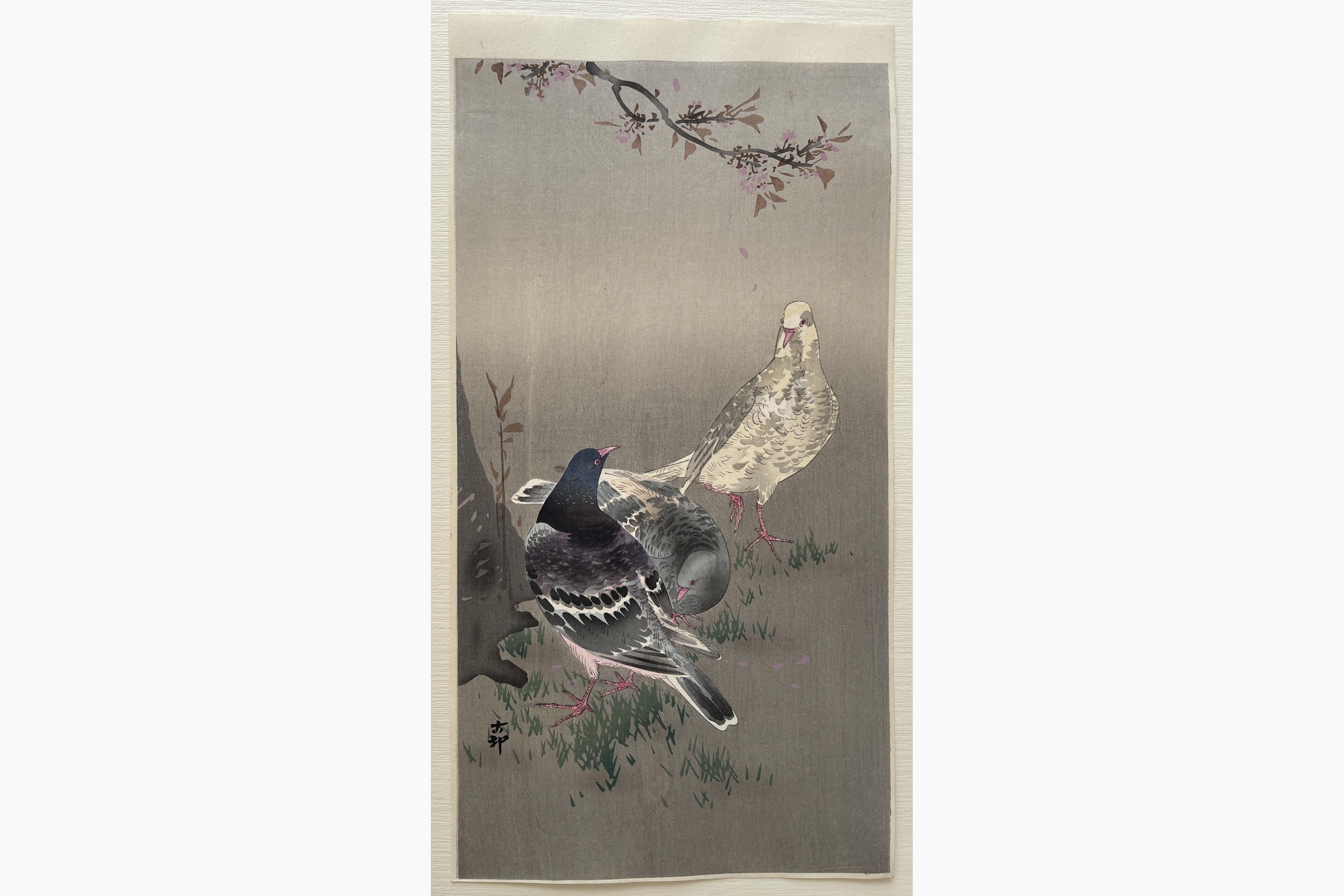 Japanese woodblock print - Ohara Koson - Pigeons and Cherry Blossom