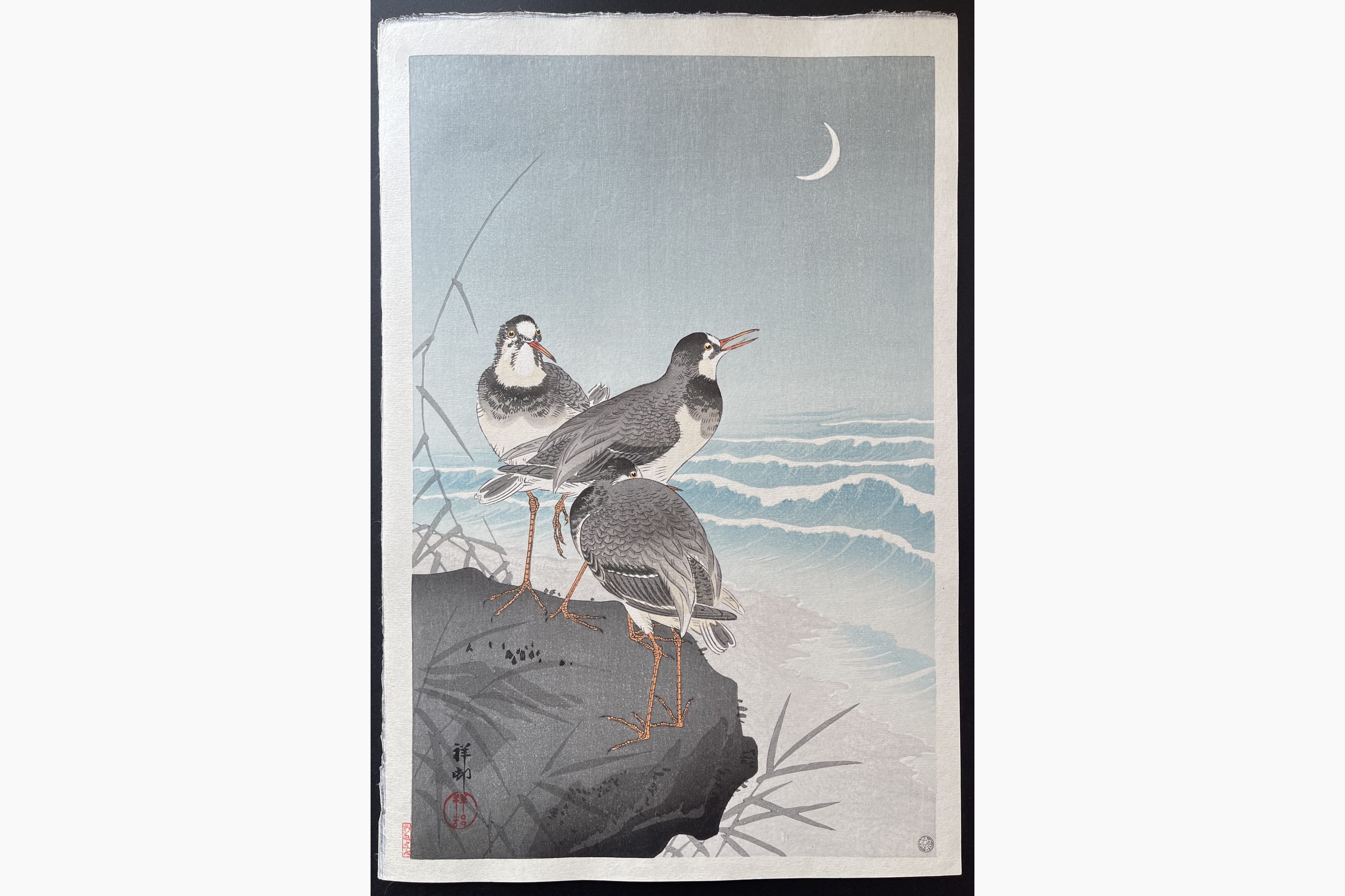 Japanese woodblock print - Ohara Koson - Thee Plovers on a Rock, the Seaside and a Crescent Moon behind.