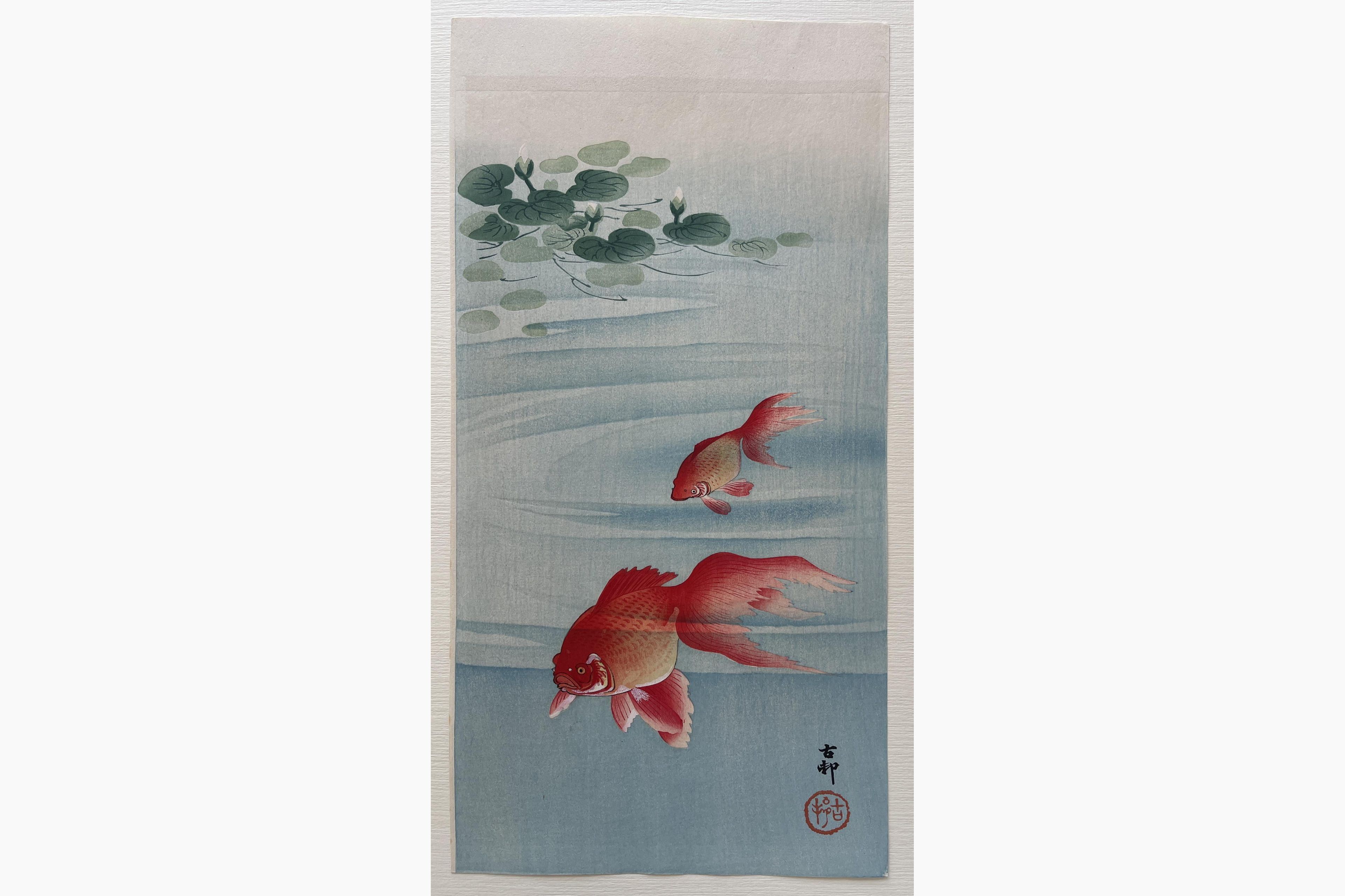 Japanese woodblock print - Ohara Koson - Two Goldfish and Lotus Plants
