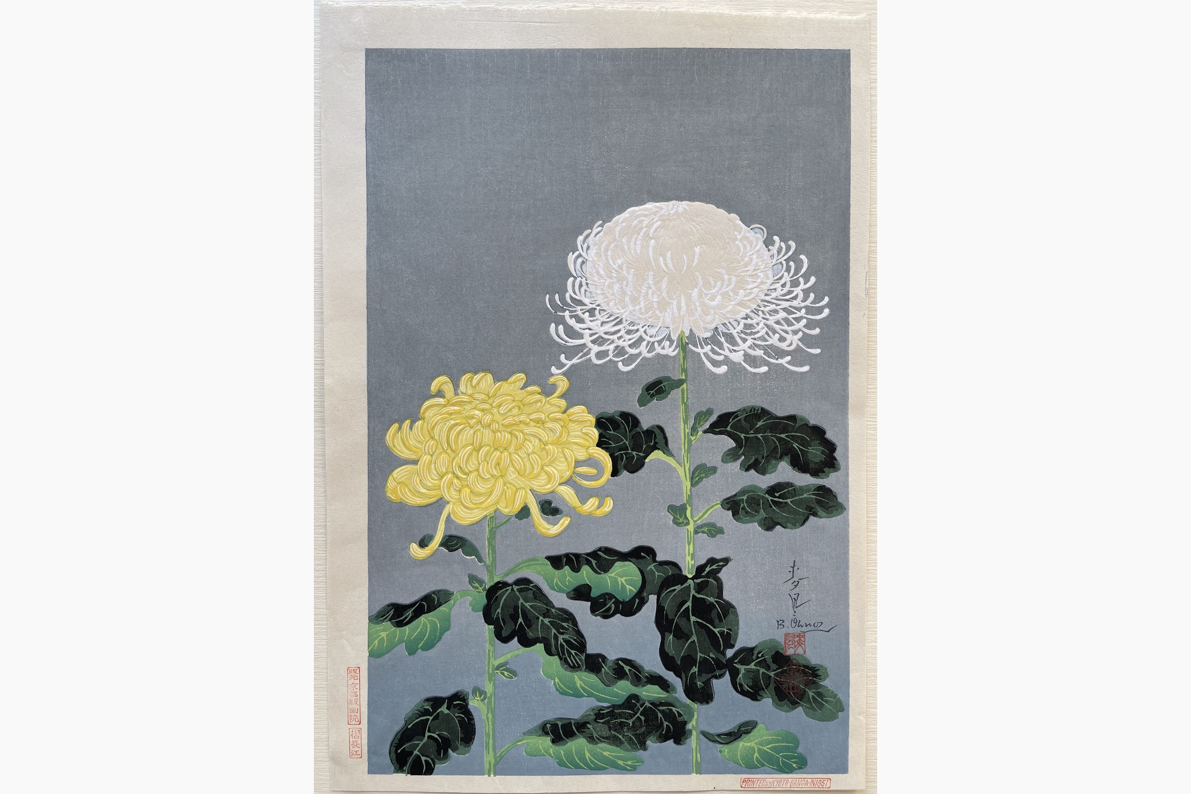 Japanese woodblock print - Ohno Bakufu - Chrysanthemums (Yellow and White)