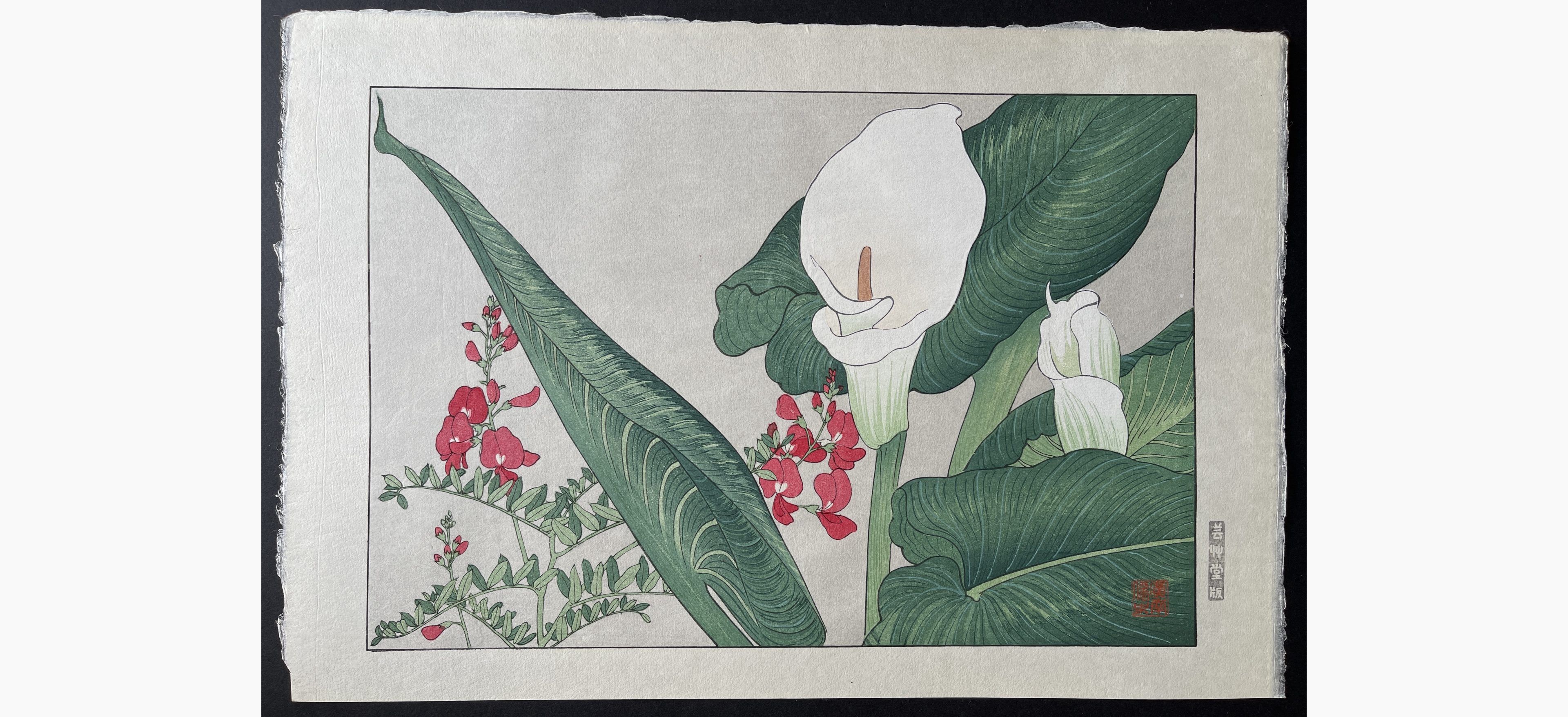 Japanese woodblock print - Tanigami Konan - Calla lily