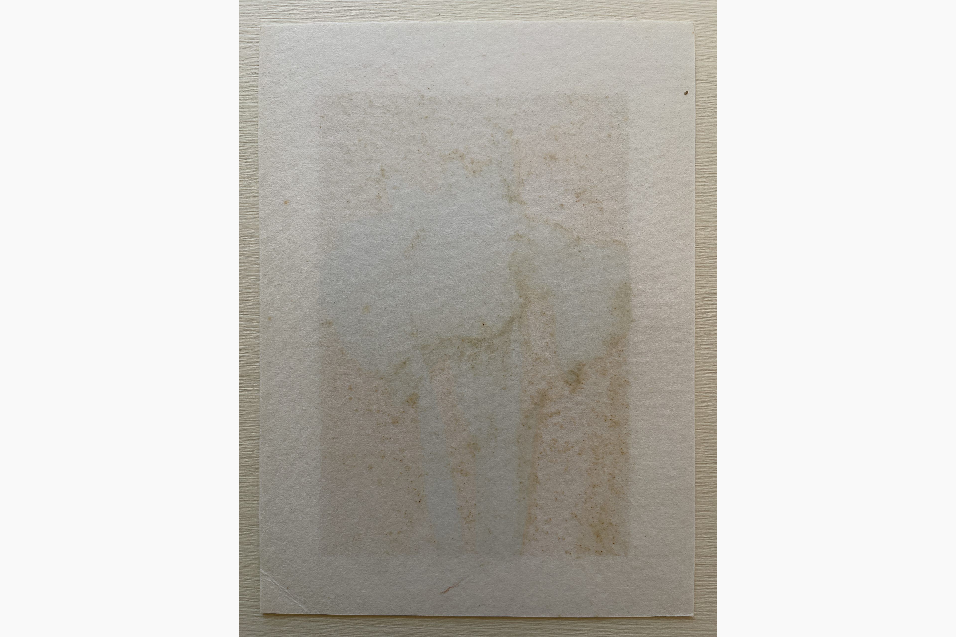 Japanese woodcut - Hajime Namiki - Iris 60