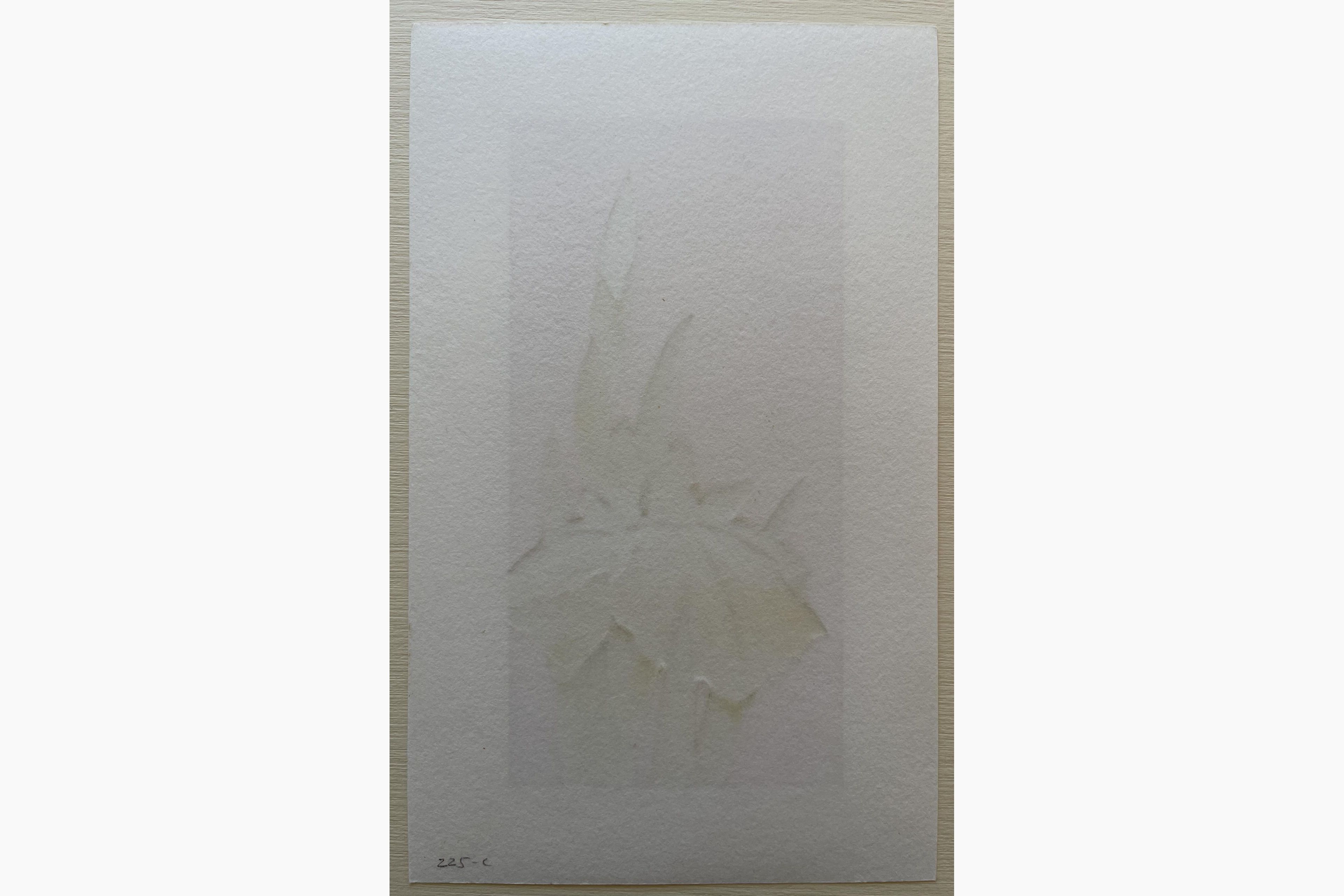 Japanese woodcut - Hajime Namiki - Iris 76