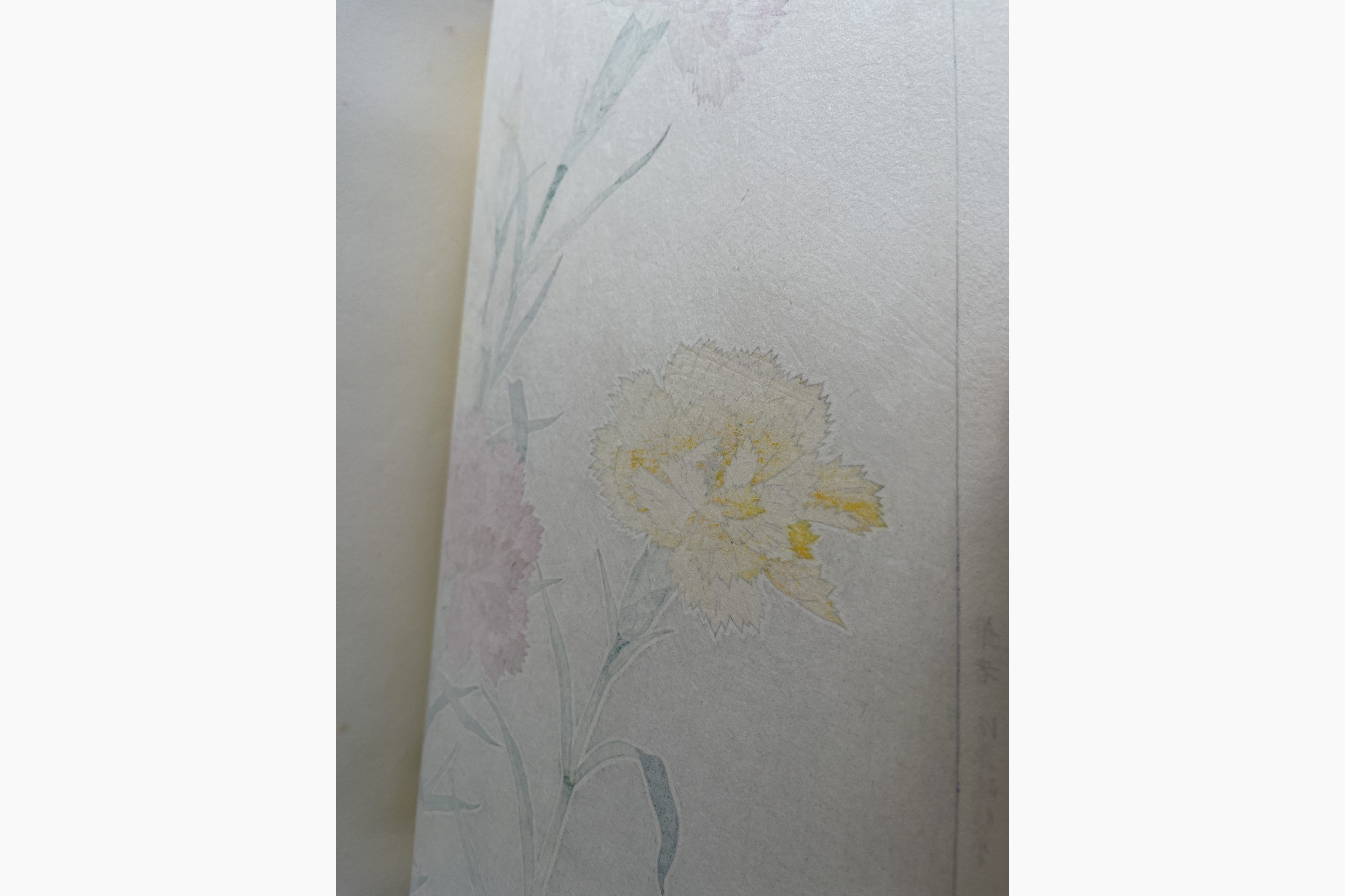 Japanese woodcut - Kawarazaki Shodo - Carnation