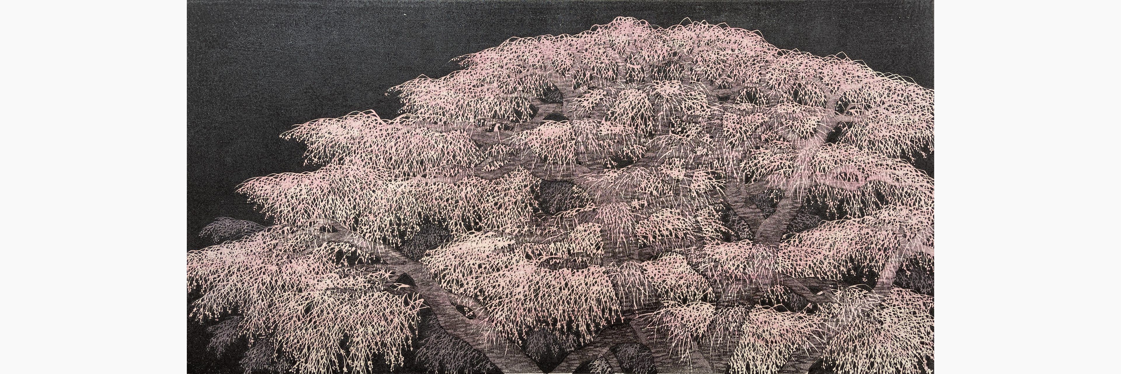 Original woodblock print - Hajime Namiki - Shidare Sakura 7