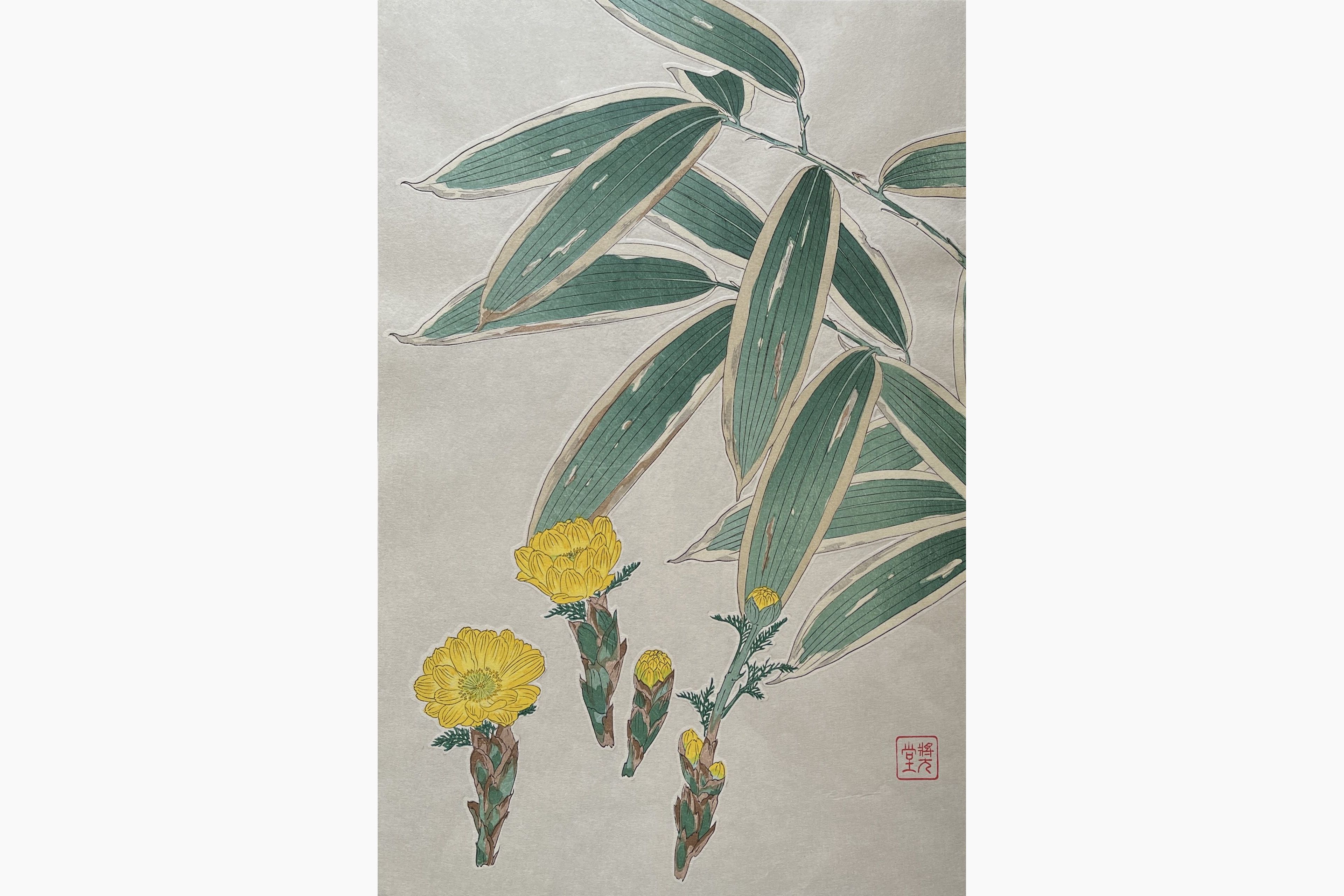 Original woodblock print - Kawarazaki Shodo - Adonis and Bamboo