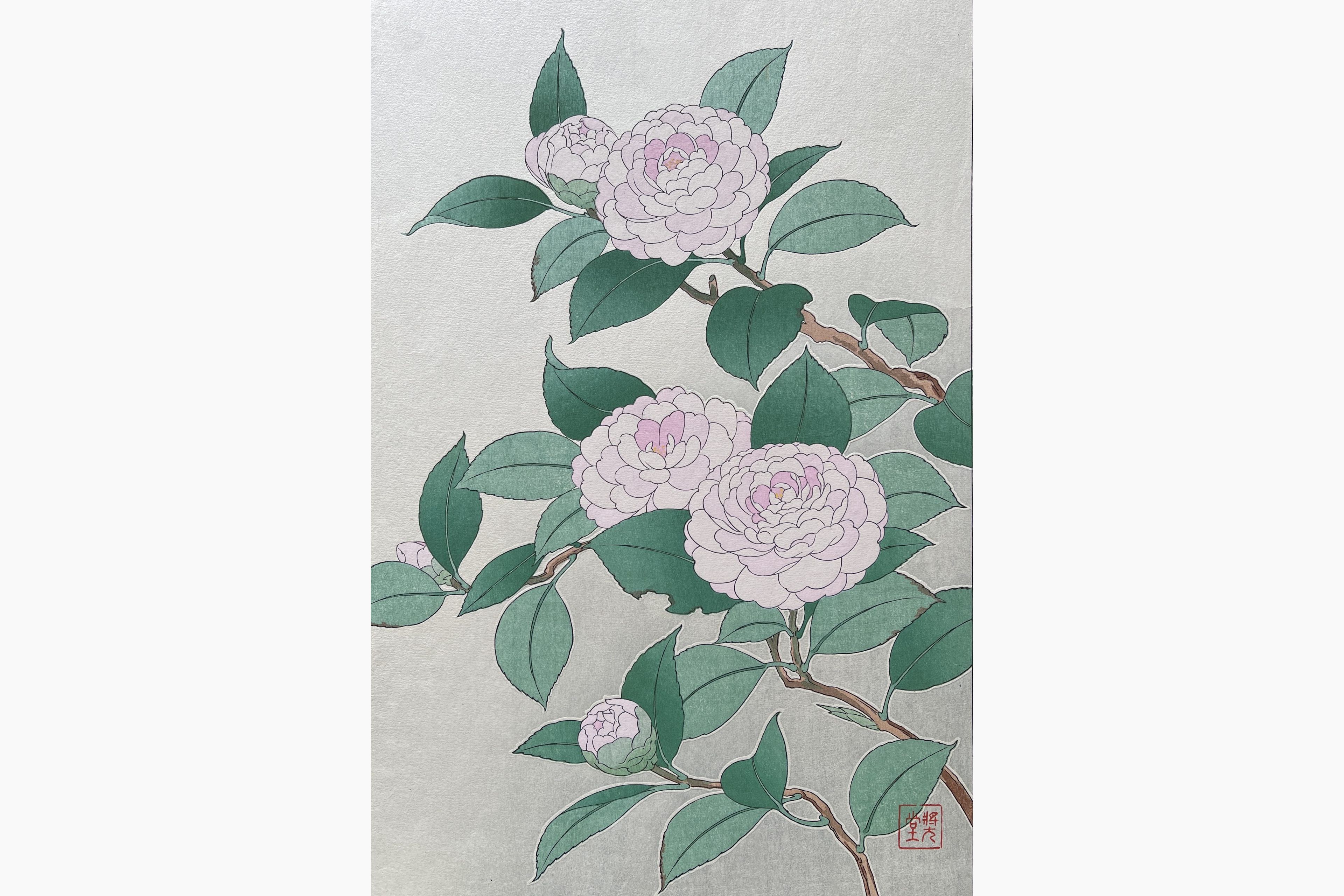 Original woodblock print - Kawarazaki Shodo - Camelia