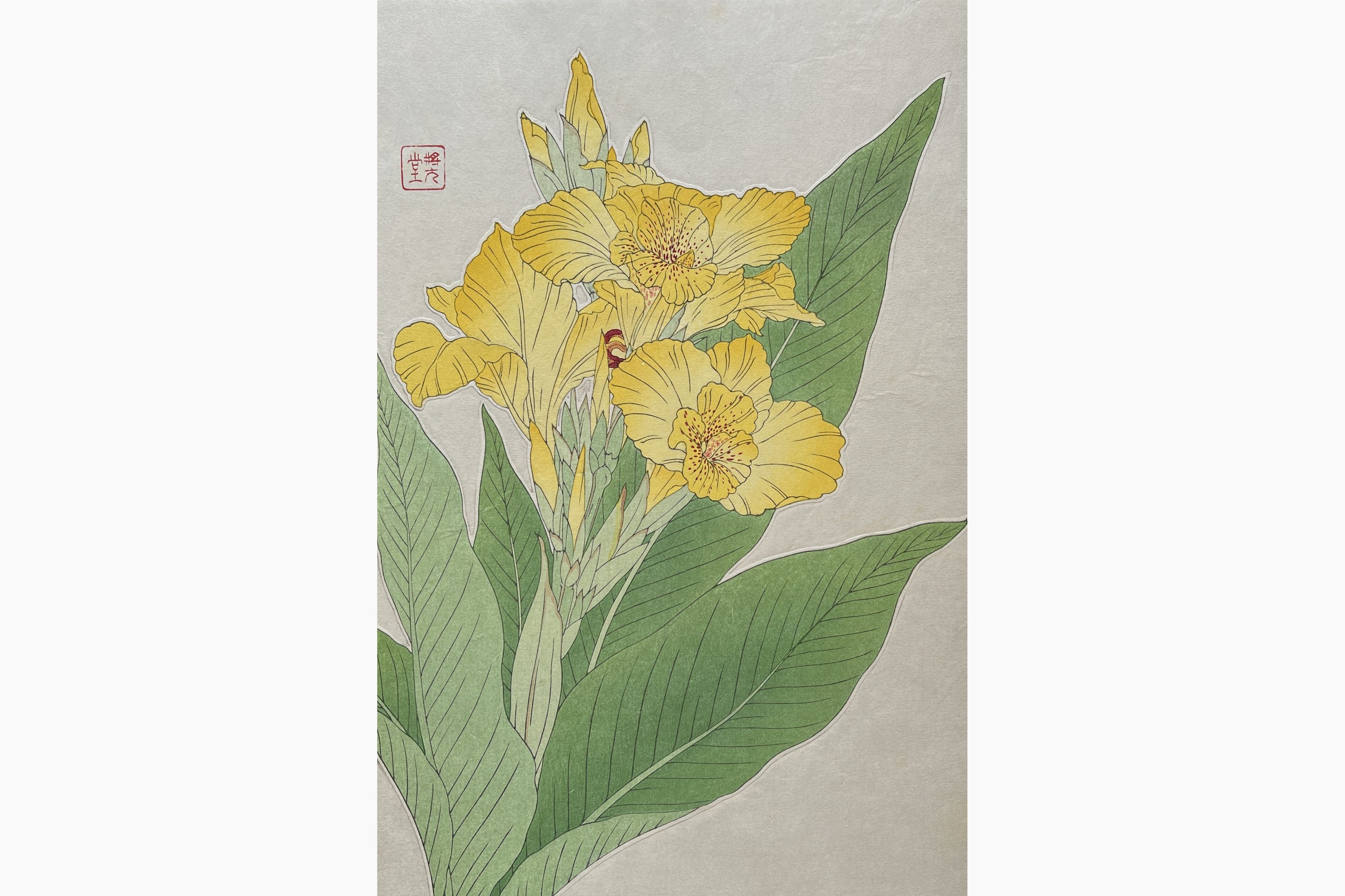 Original woodblock print - Kawarazaki Shodo - Canna