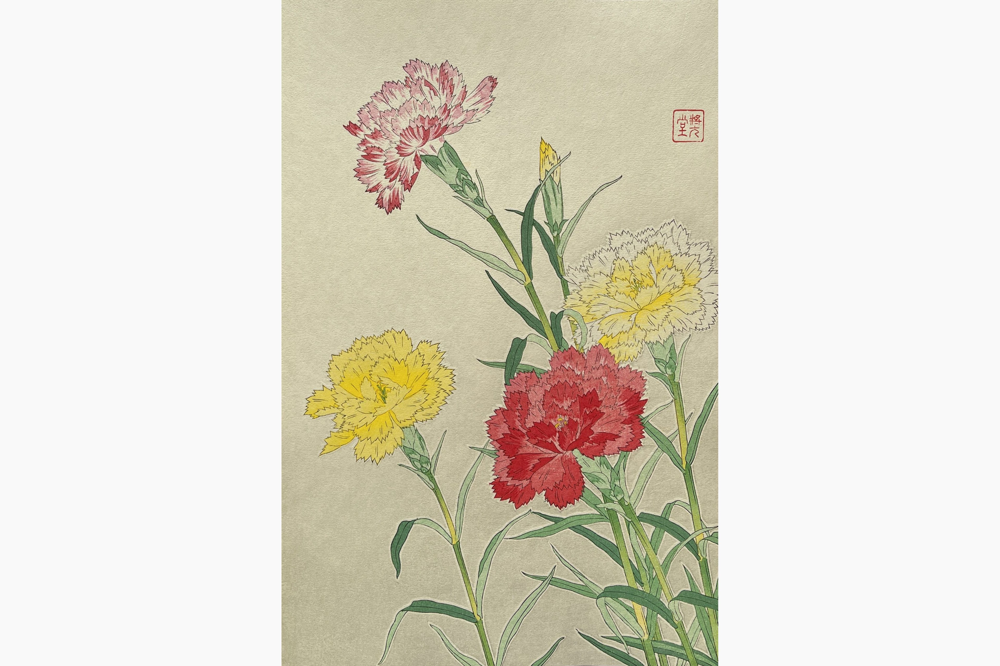 Original woodblock print - Kawarazaki Shodo - Carnation