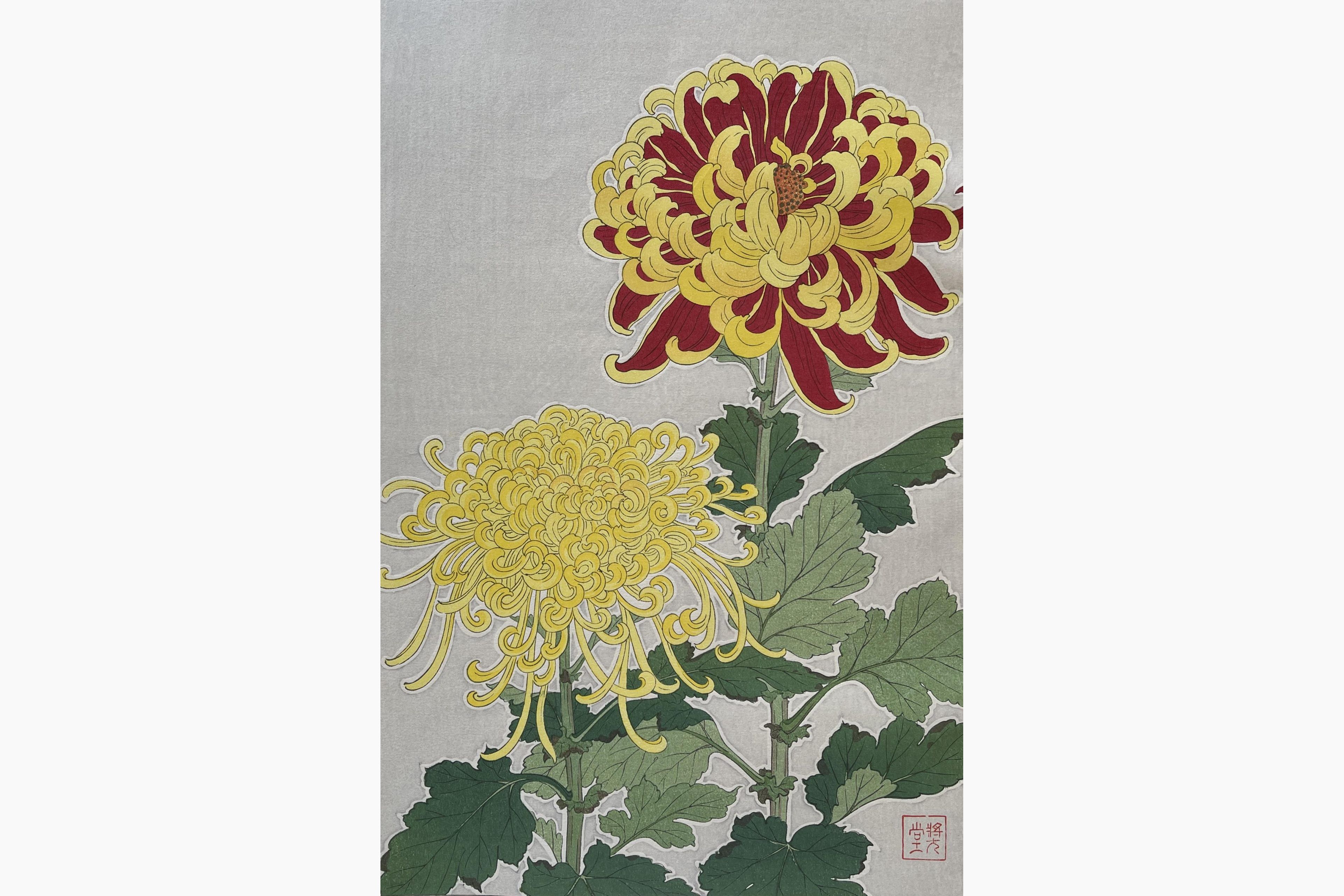 Original woodblock print - Kawarazaki Shodo - Chrysanthemum