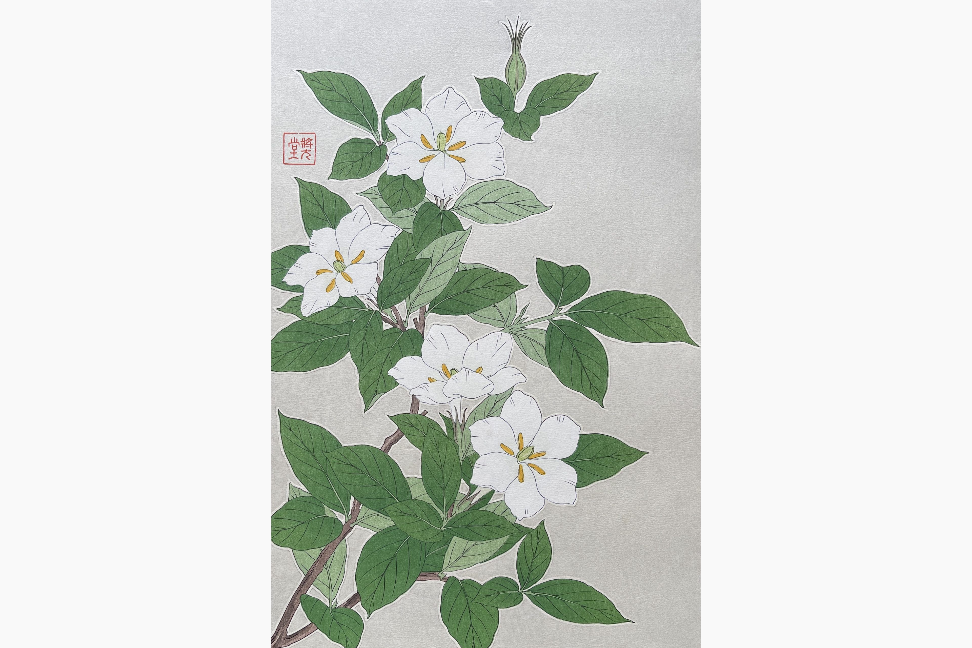 Original woodblock print - Kawarazaki Shodo - Gardenia