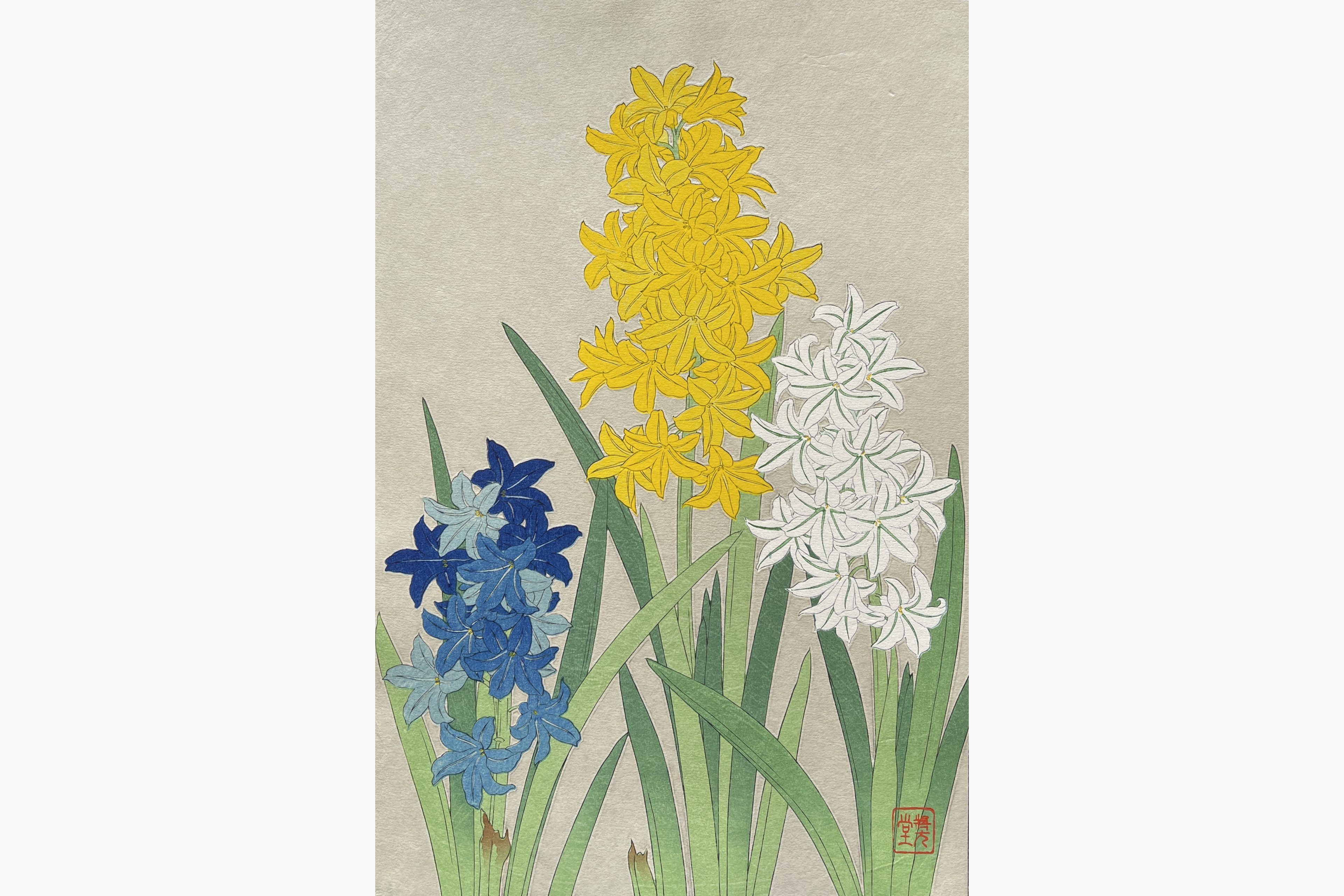 Original woodblock print - Kawarazaki Shodo - Hyacinth