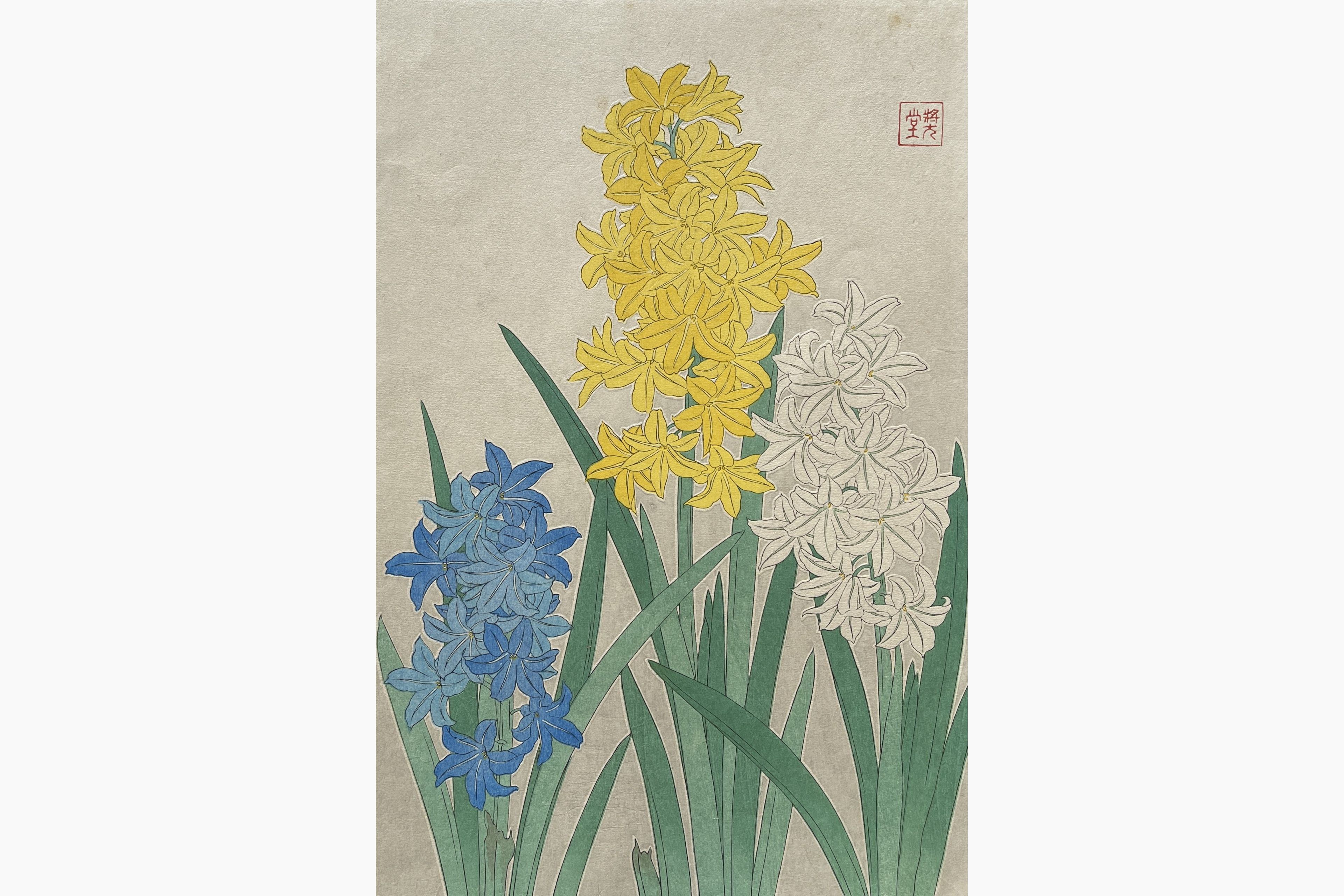 Original woodblock print - Kawarazaki Shodo - Hyacinth