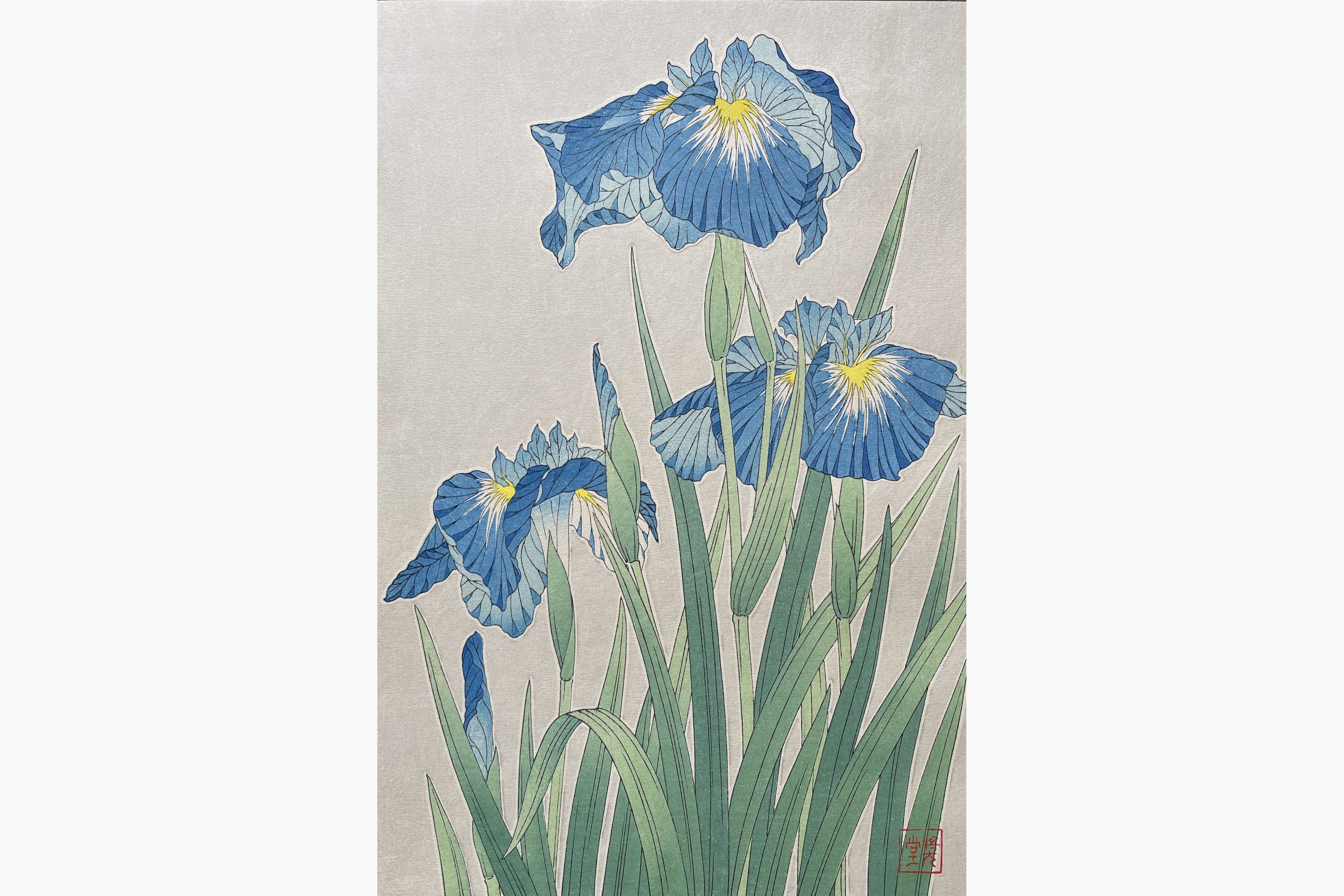 Original woodblock print - Kawarazaki Shodo - Iris
