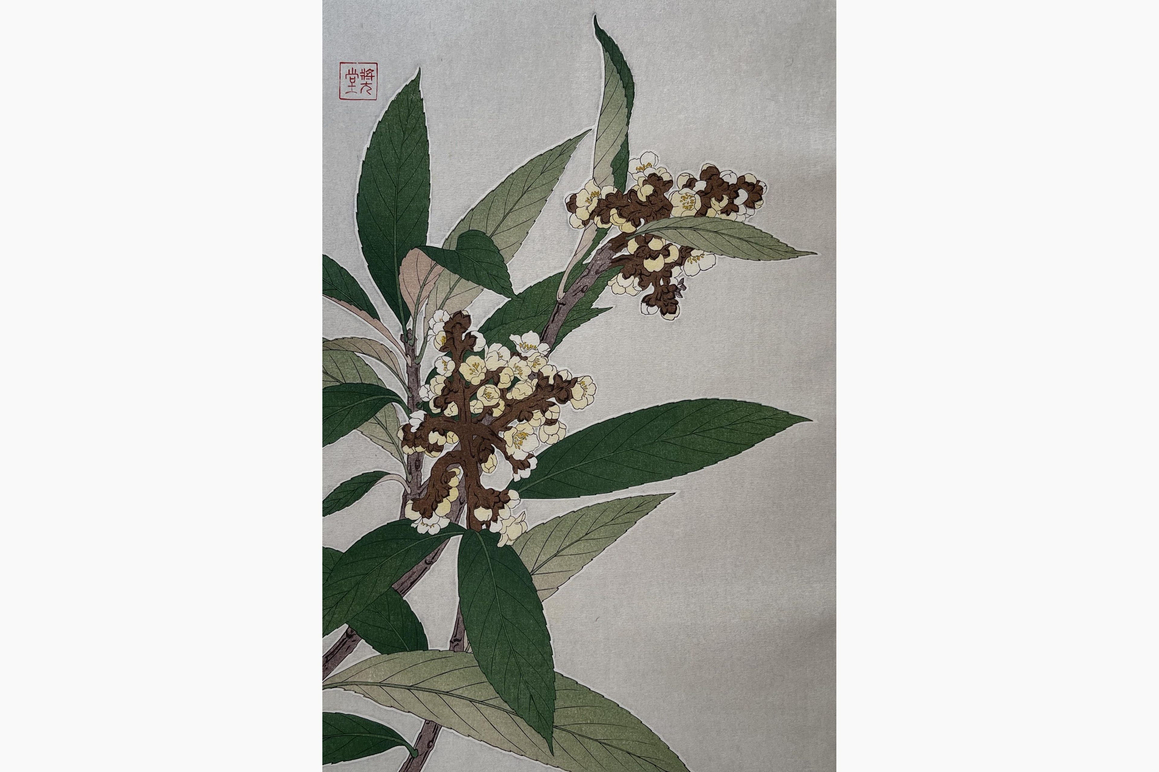 Original woodblock print - Kawarazaki Shodo - Loquat