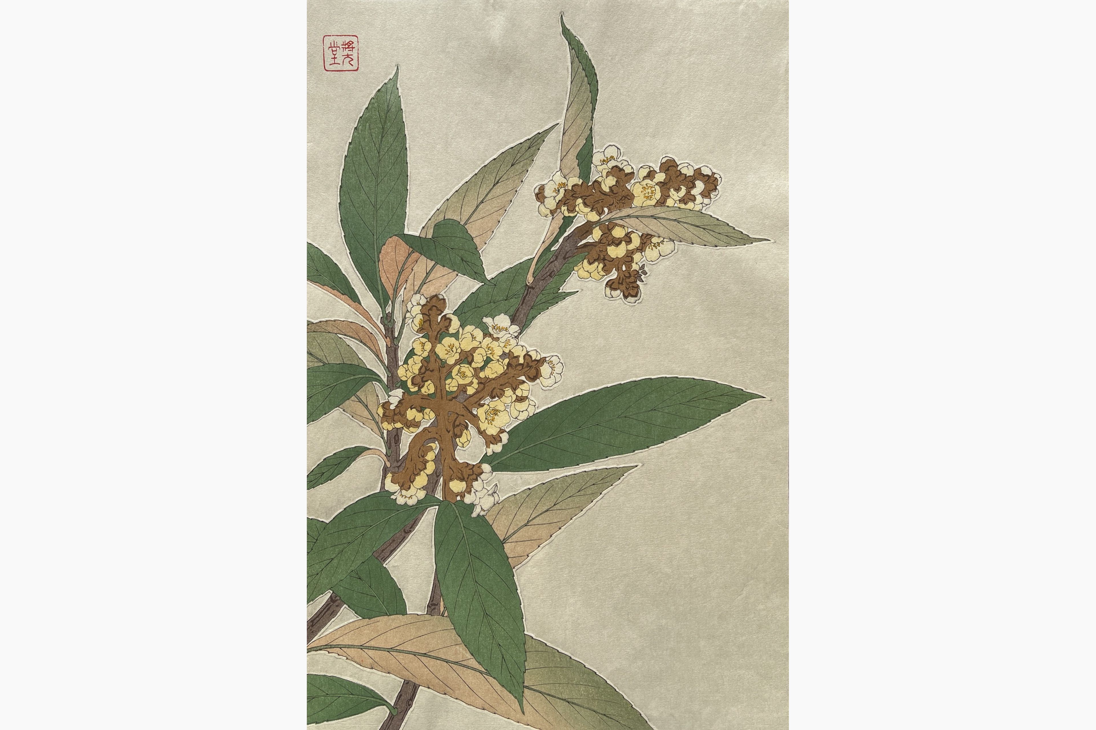 Original woodblock print - Kawarazaki Shodo - Loquat