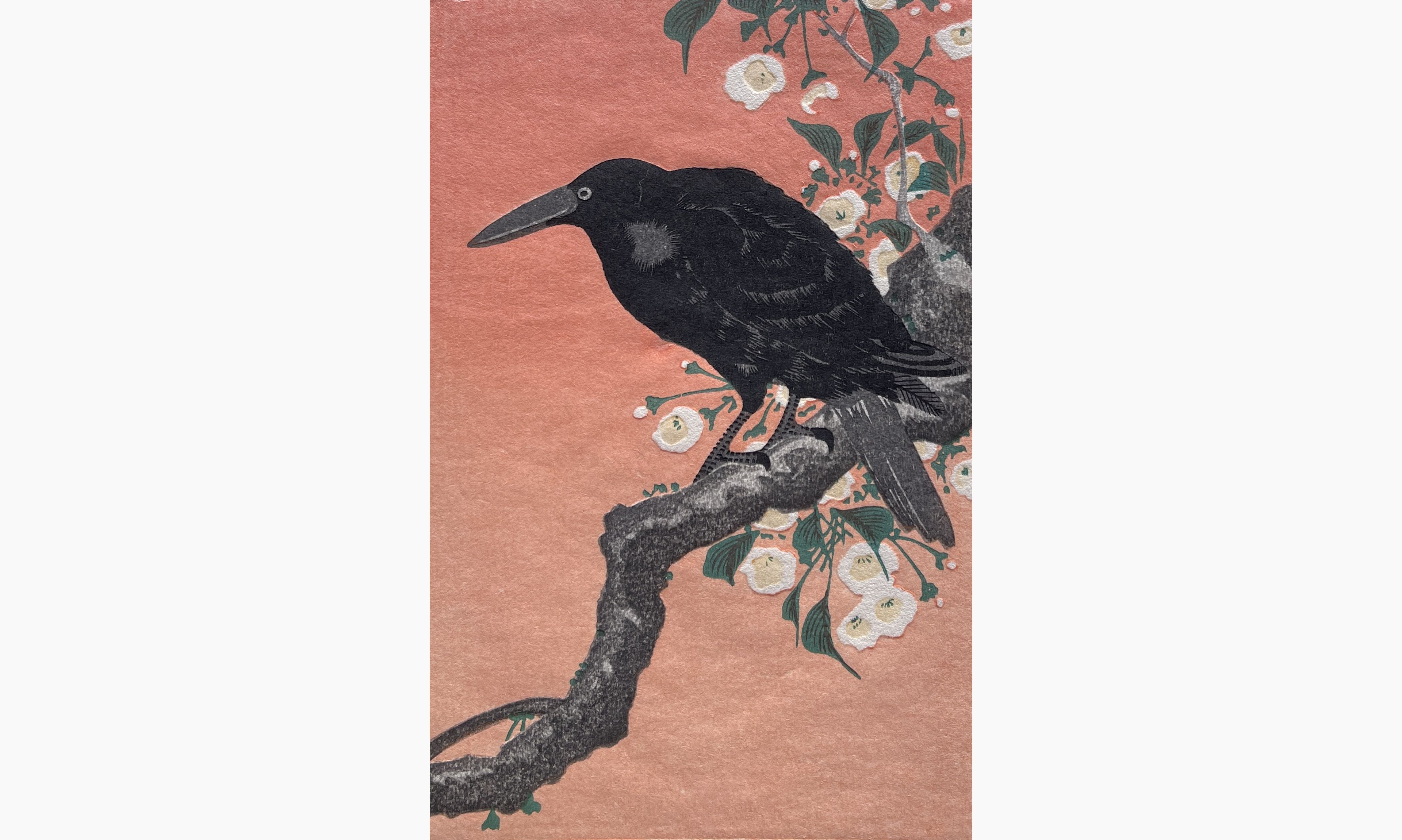 Original woodblock print - Ohara Koson - Crow on Cherry Branch