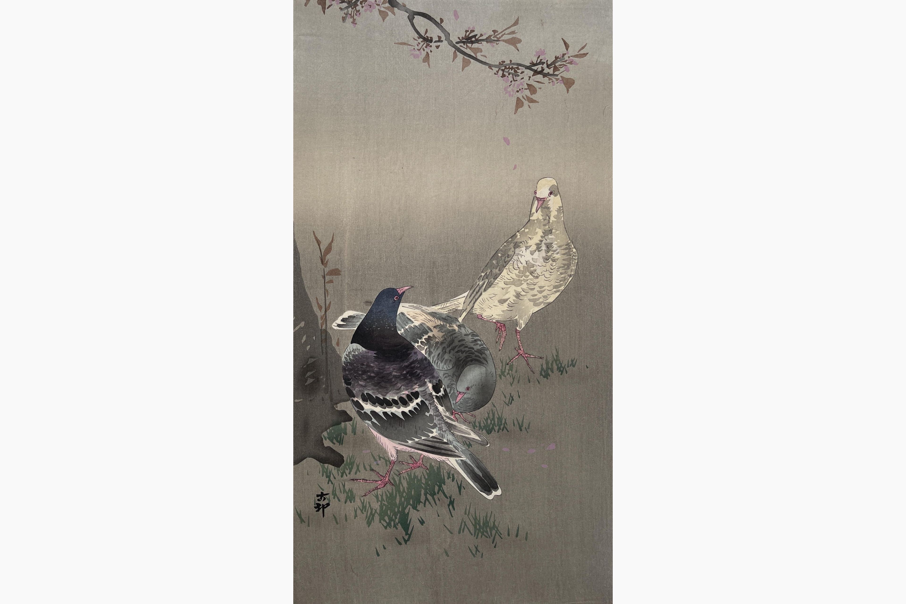 Original woodblock print - Ohara Koson - Pigeons and Cherry Blossom