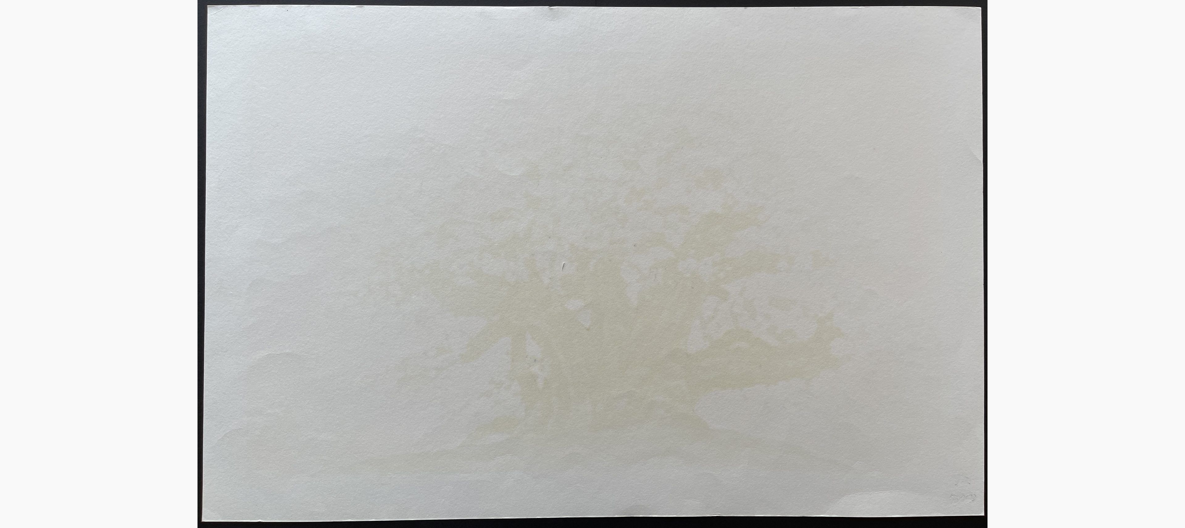 Woodblock print - Hajime Namiki - Cherry of Hotchi 2 (Gunma)