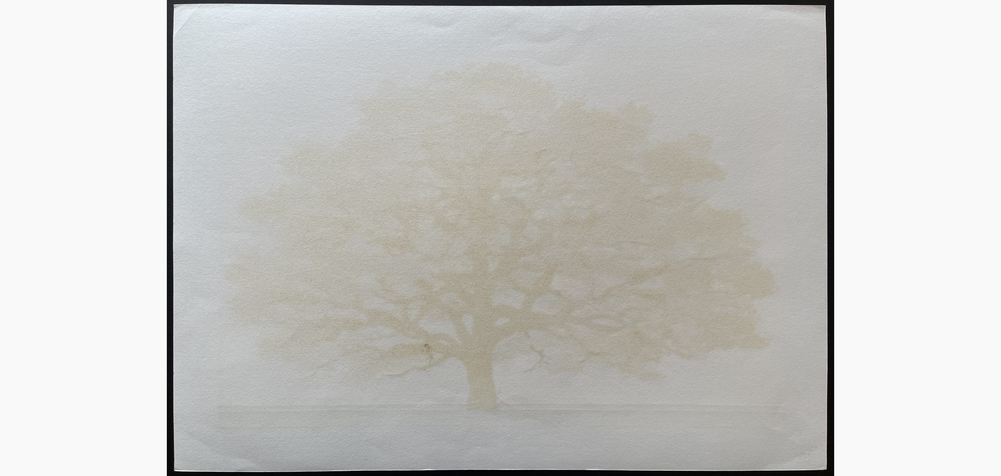 Woodblock print - Hajime Namiki - Dogwood 3A