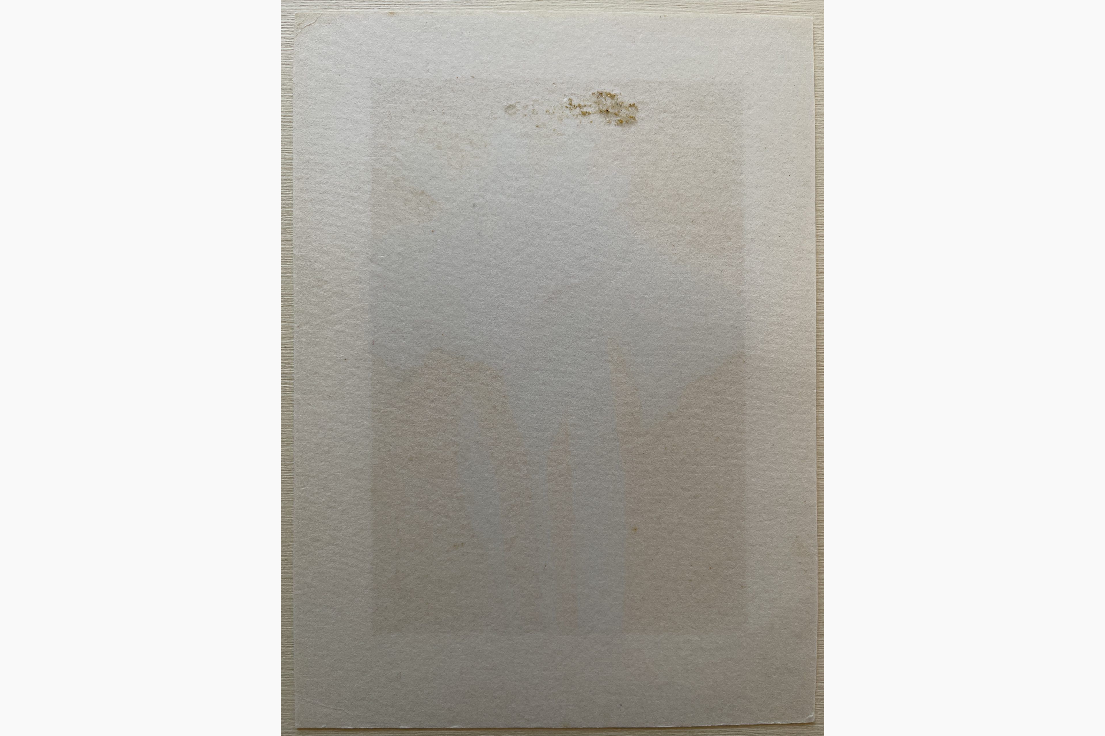 Woodblock print - Hajime Namiki - Iris 53