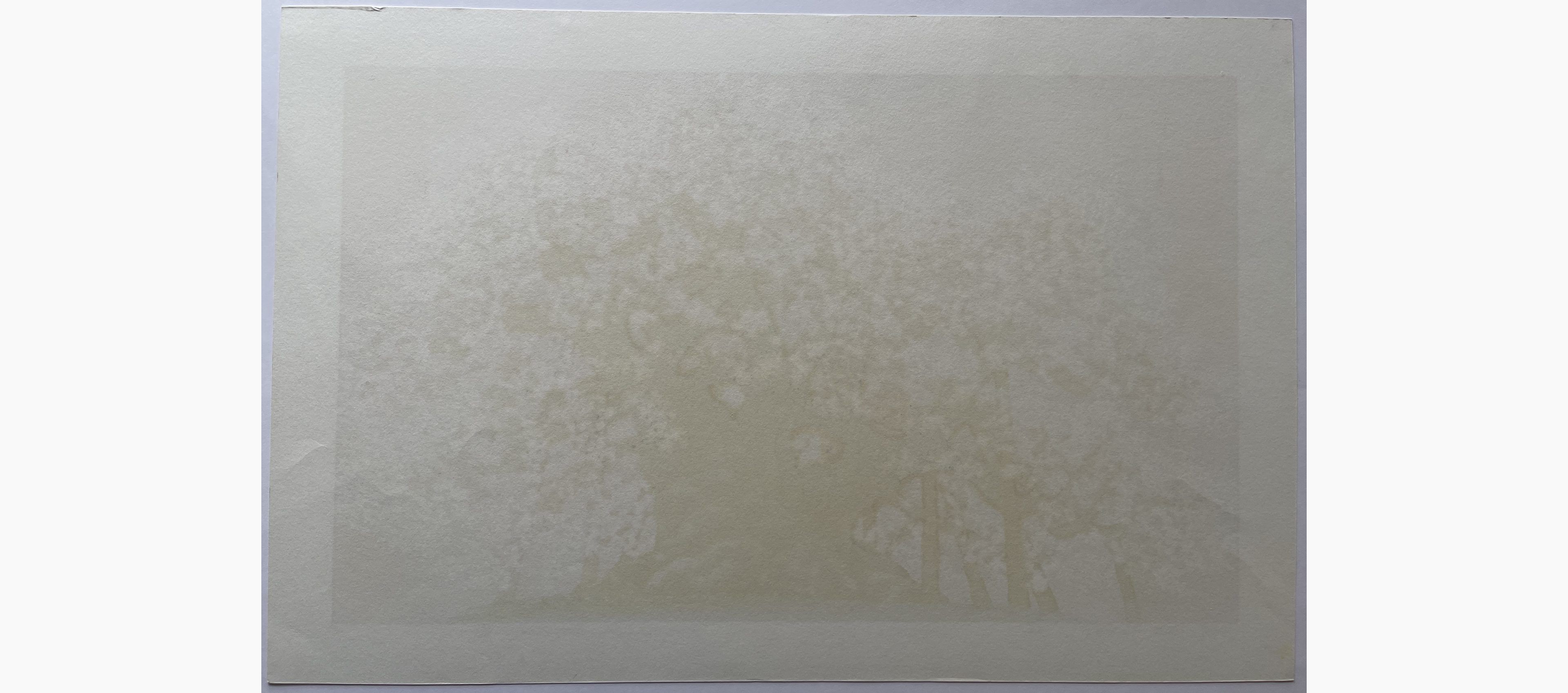 Woodblock print - Hajime Namiki - Isawaza 2