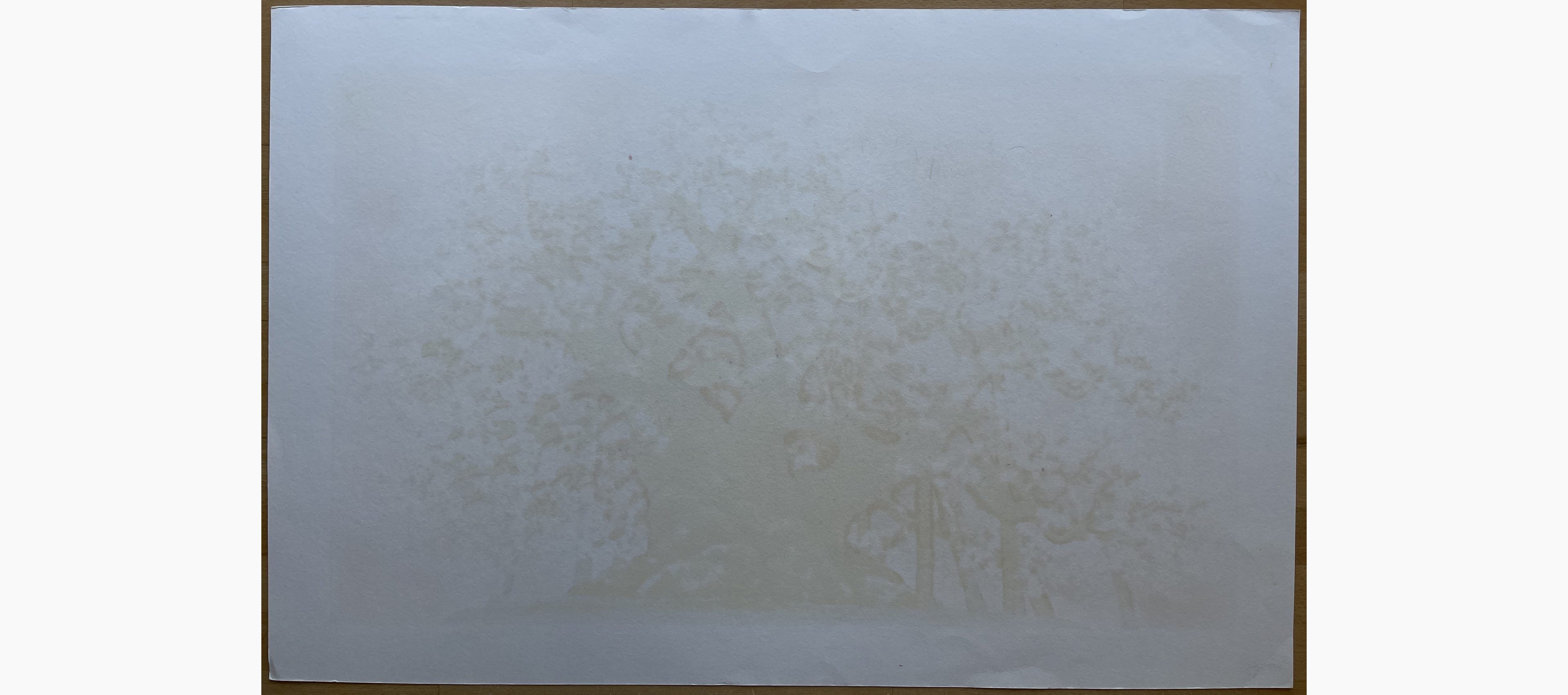 Woodblock print - Hajime Namiki - Kubo Cherry of Isazawa (Yamagata)