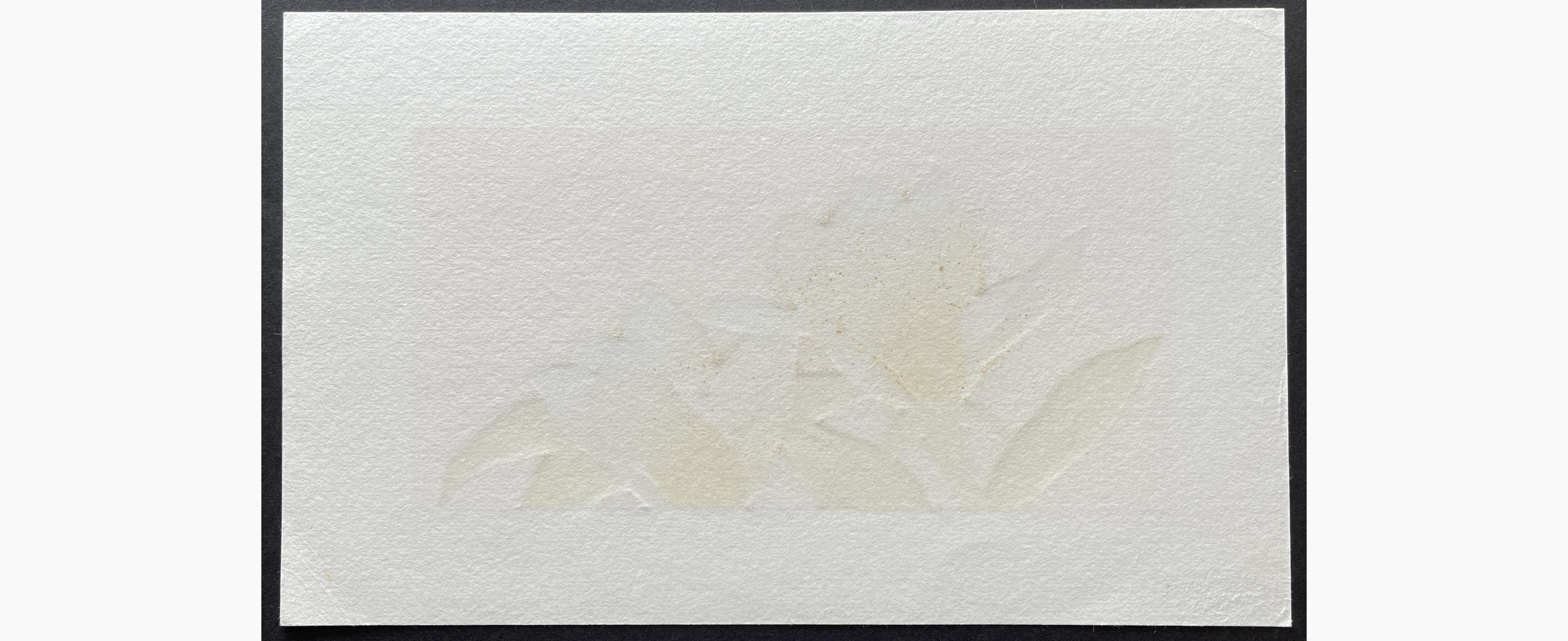 Woodblock print - Hajime Namiki - Magnolia 1