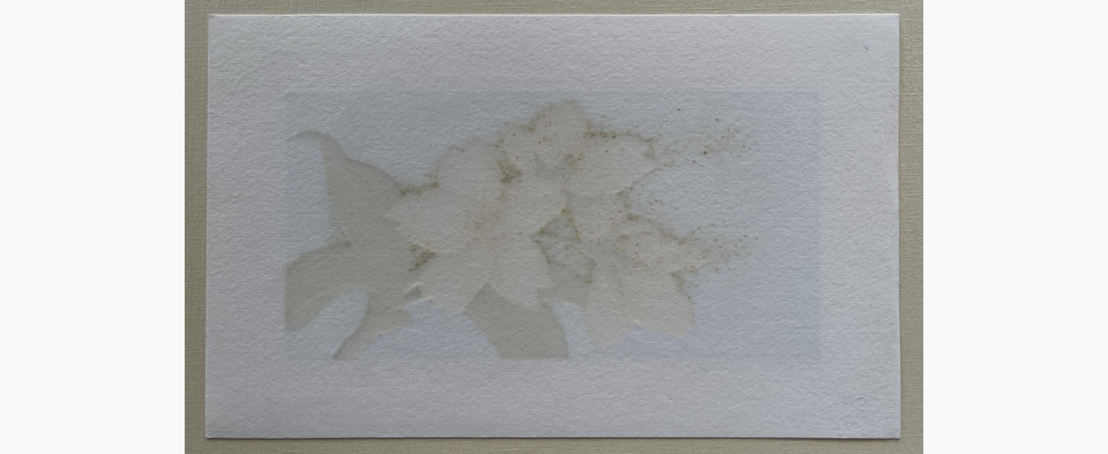 Woodblock print - Hajime Namiki - Sakura 3