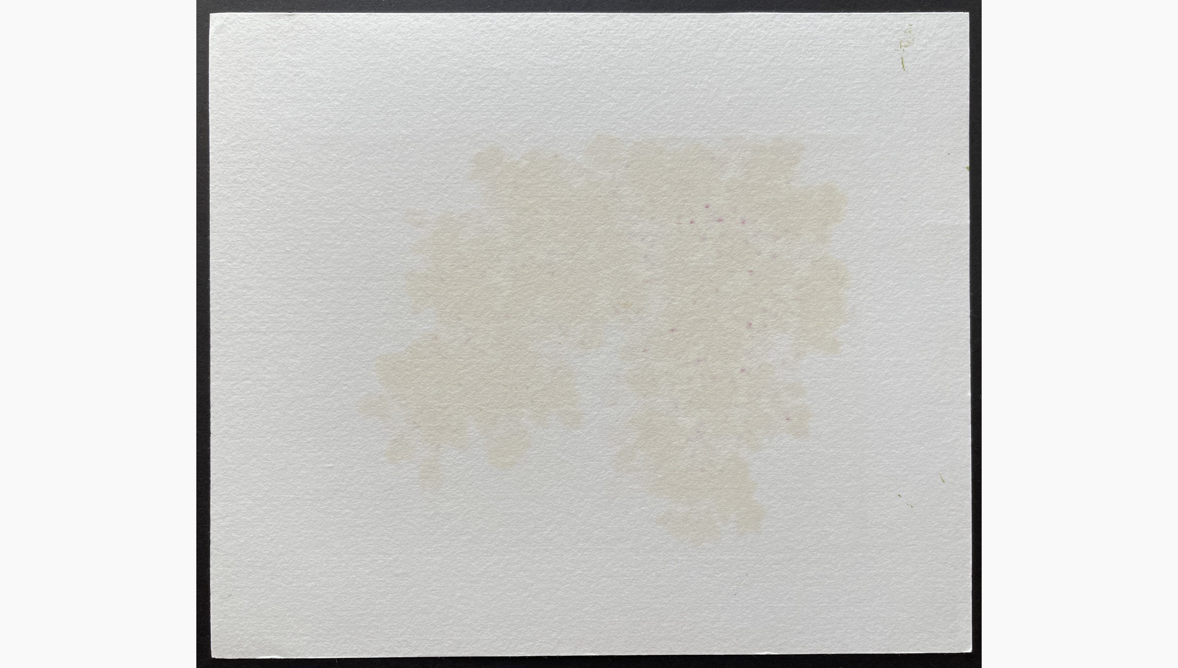 Woodblock print - Hajime Namiki - Sakura 9