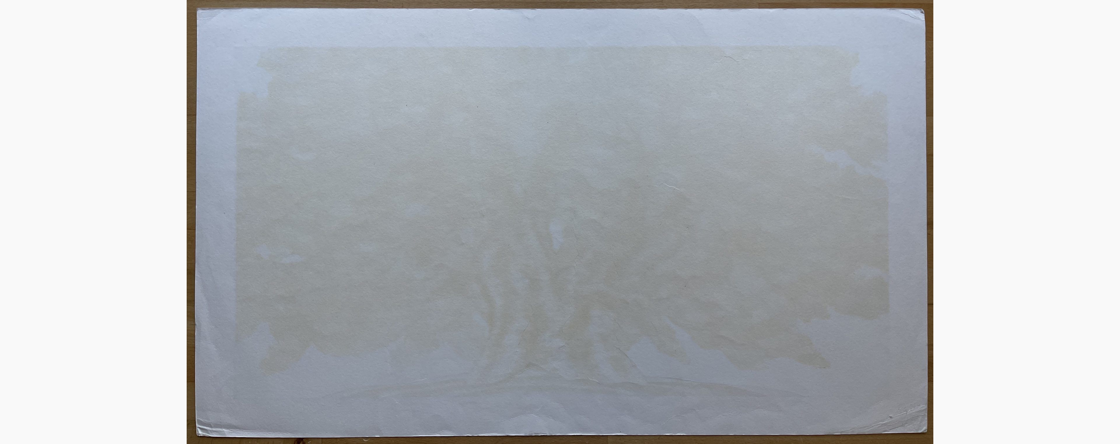 Woodblock print - Hajime Namiki - Saruhami Zelkova