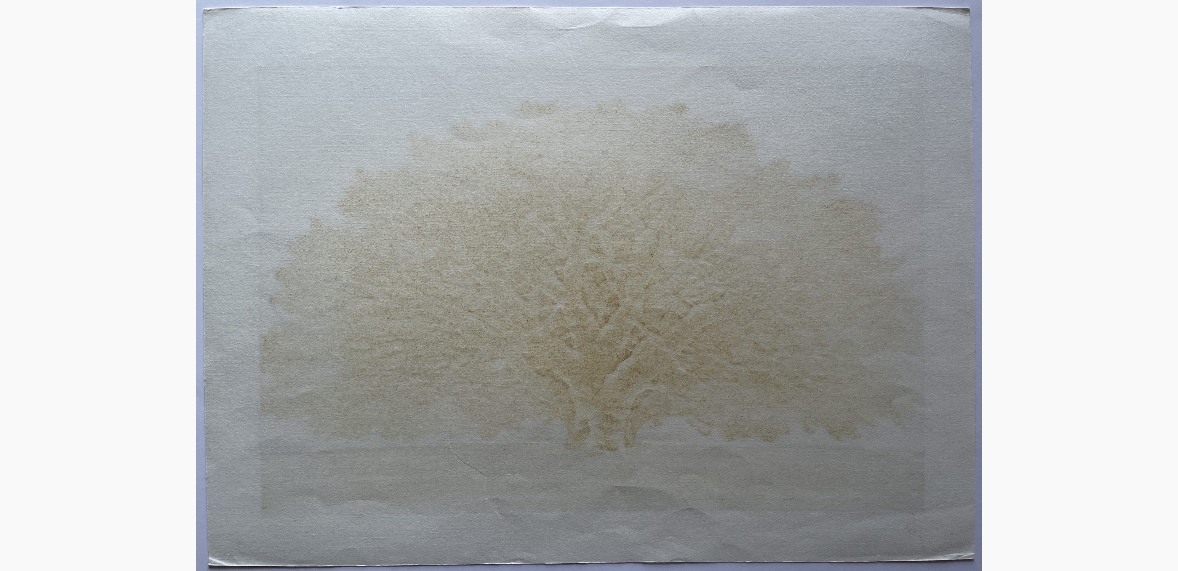 Woodblock print - Hajime Namiki - Tree scene 106