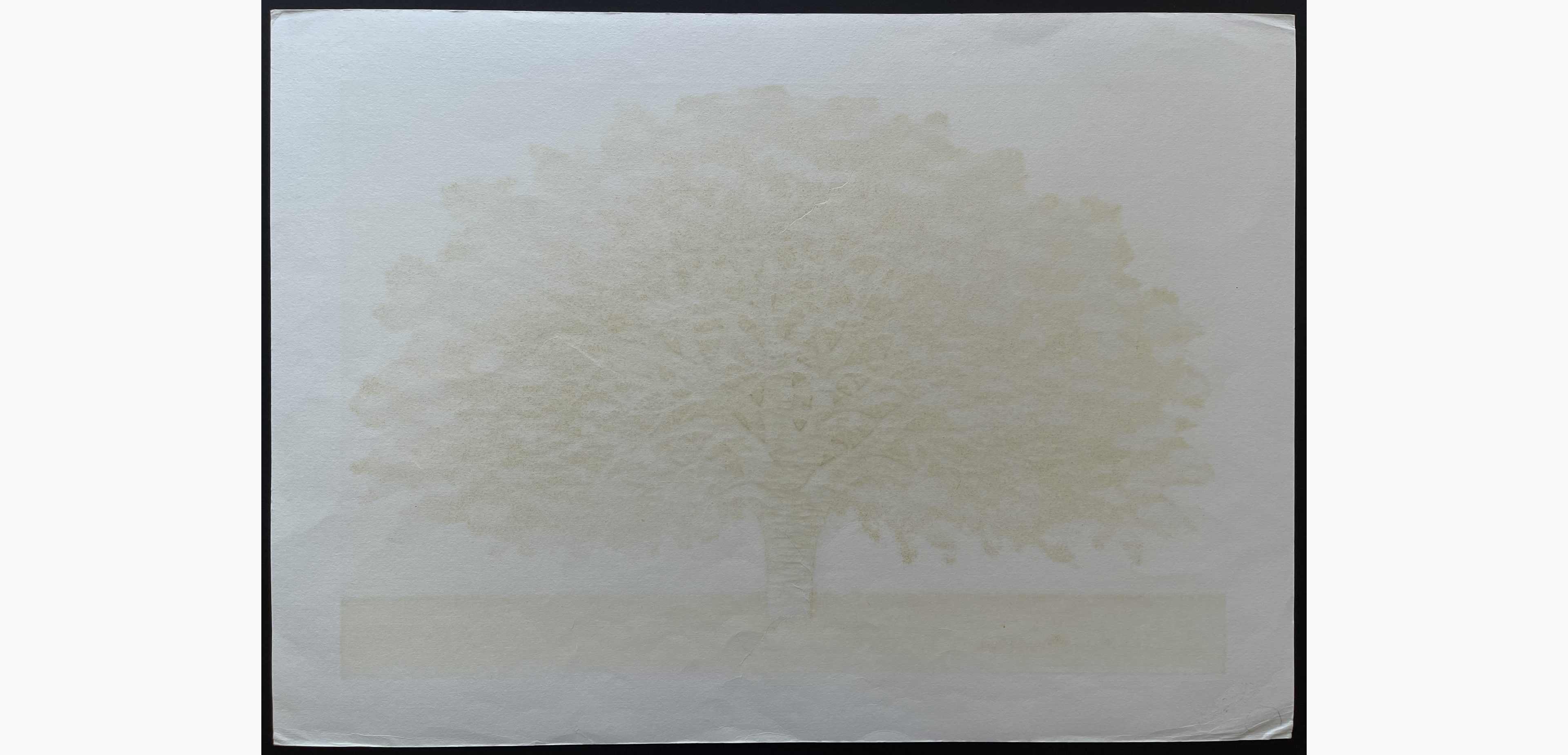 Woodblock print - Hajime Namiki - Tree scene 84