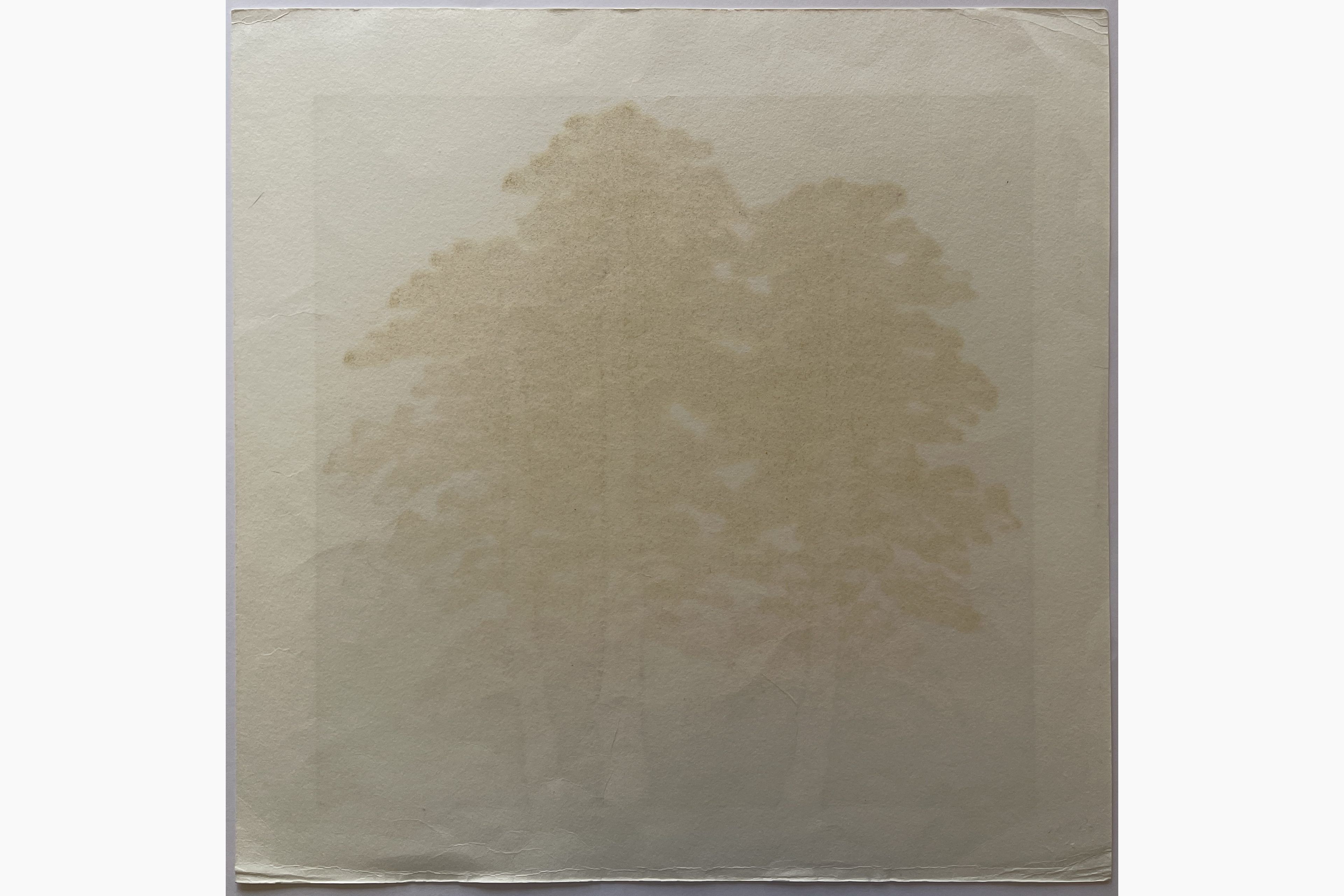 Woodblock print - Hajime Namiki - Tree scene 99