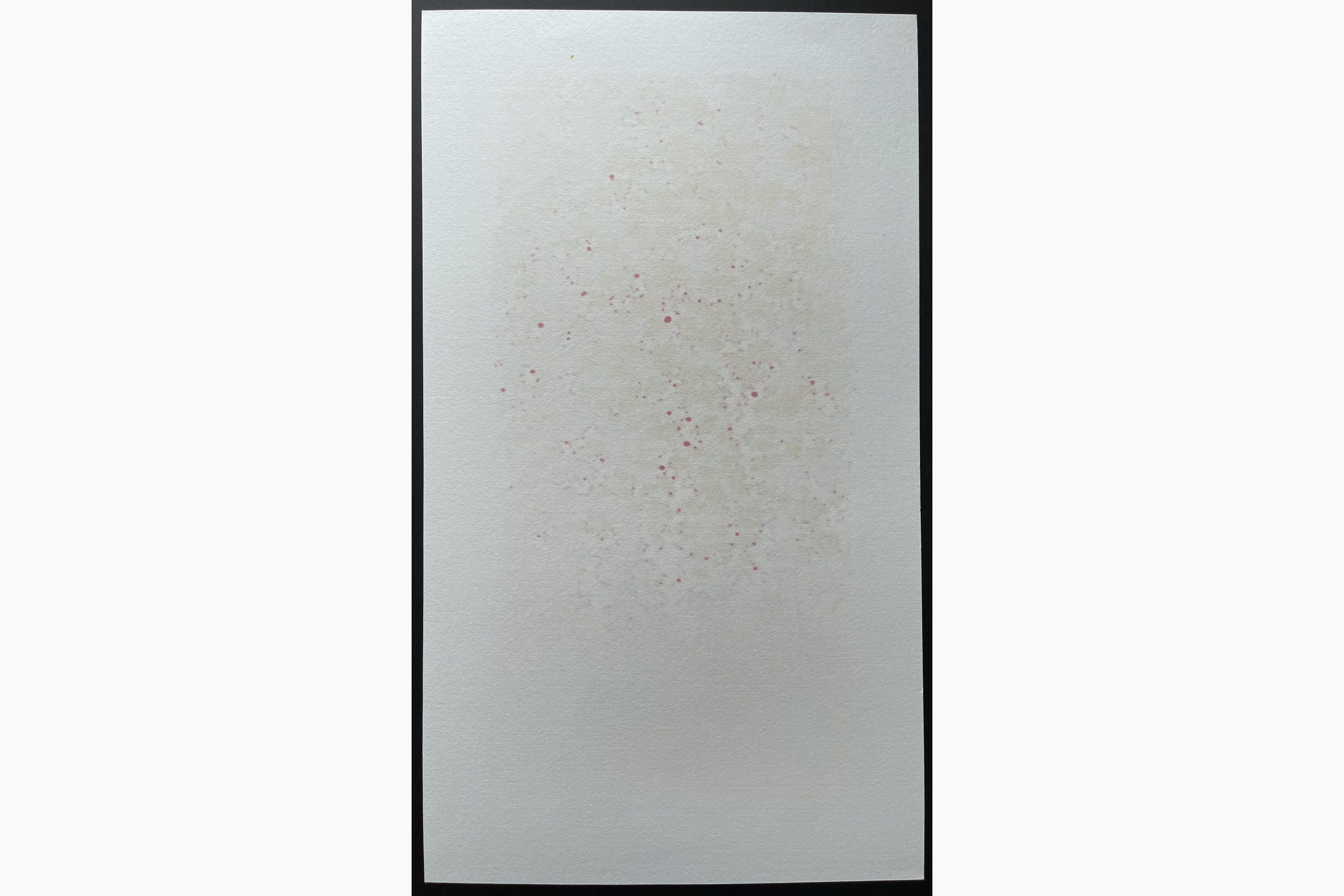 Woodblock print - Hajime Namiki - Weeping Cherry 25