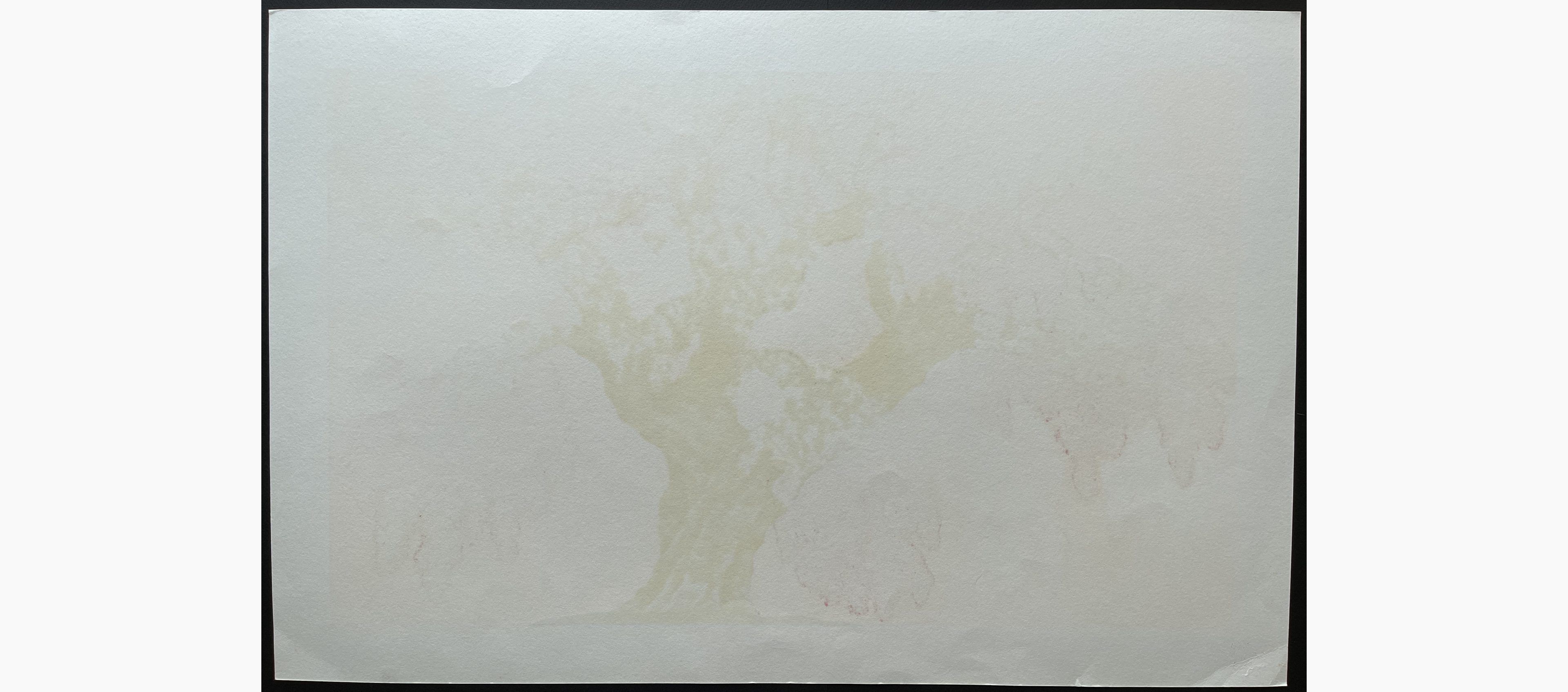 Woodblock print - Hajime Namiki - Weeping Cherry of Kuonji in Minobu Mountain