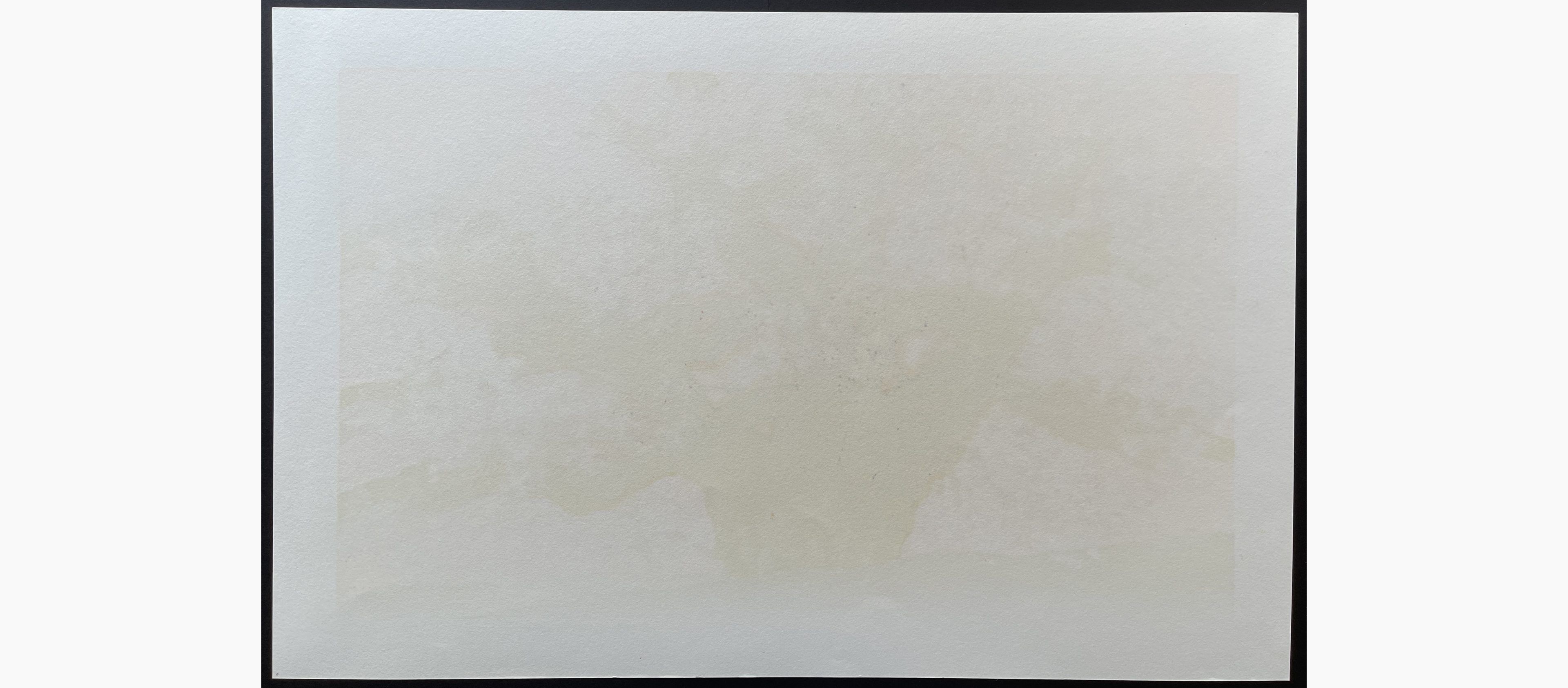 Woodblock print - Hajime Namiki - Wild Cherry of Kogenji (Tokyo)