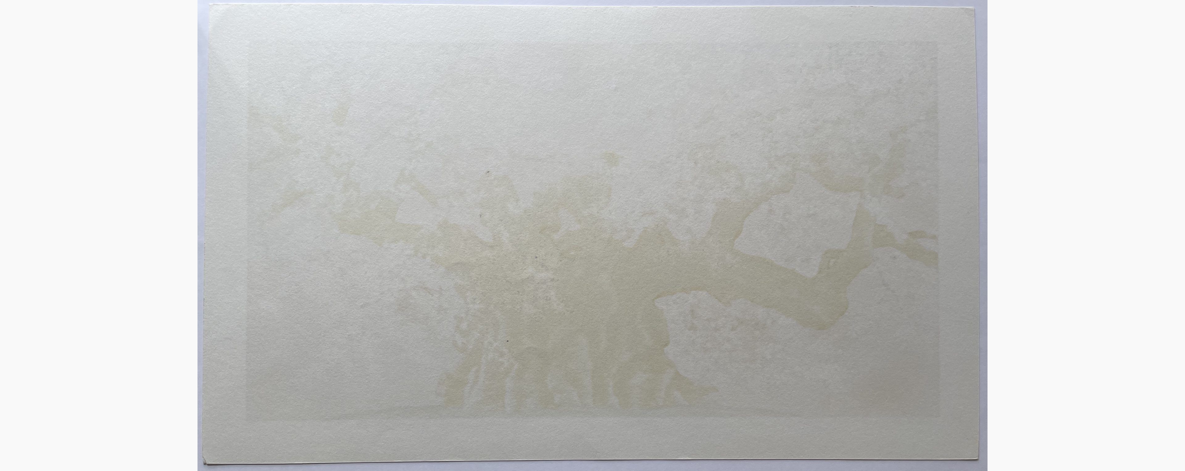 Woodblock print - Hajime Namiki - Yamatakon