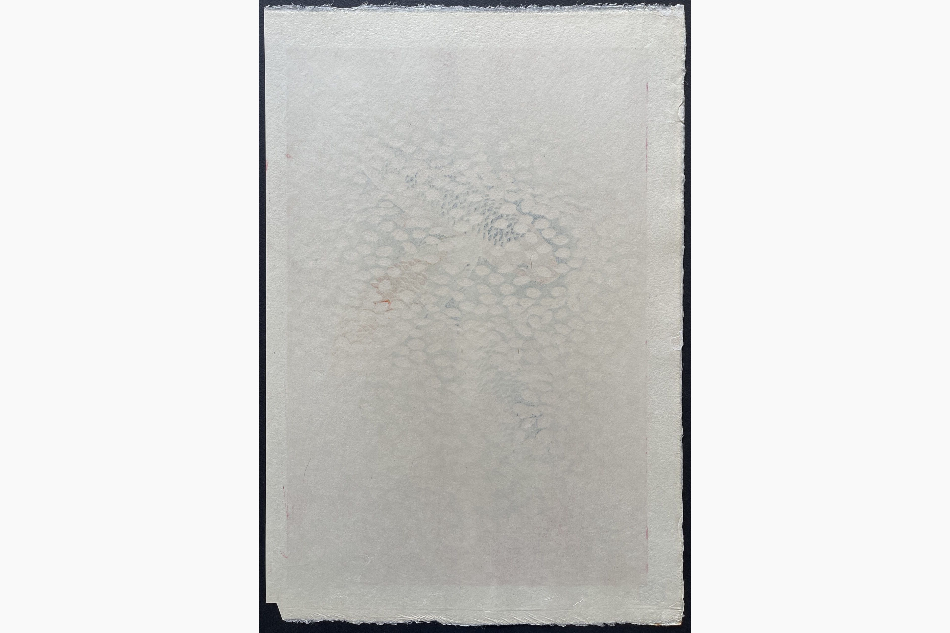 Japanese print - Kasamatsu Shiro - Waves of Petals