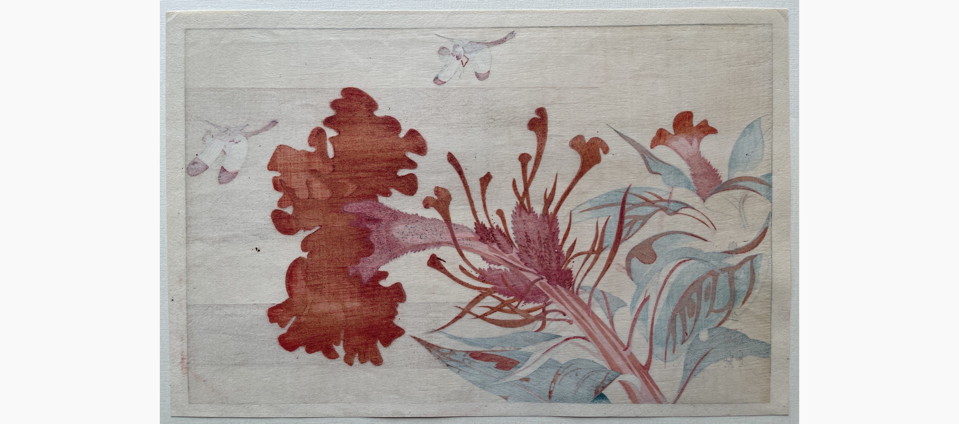 Japanese print - Rakusan Tsuchiya - Dragonflies and Flowers
